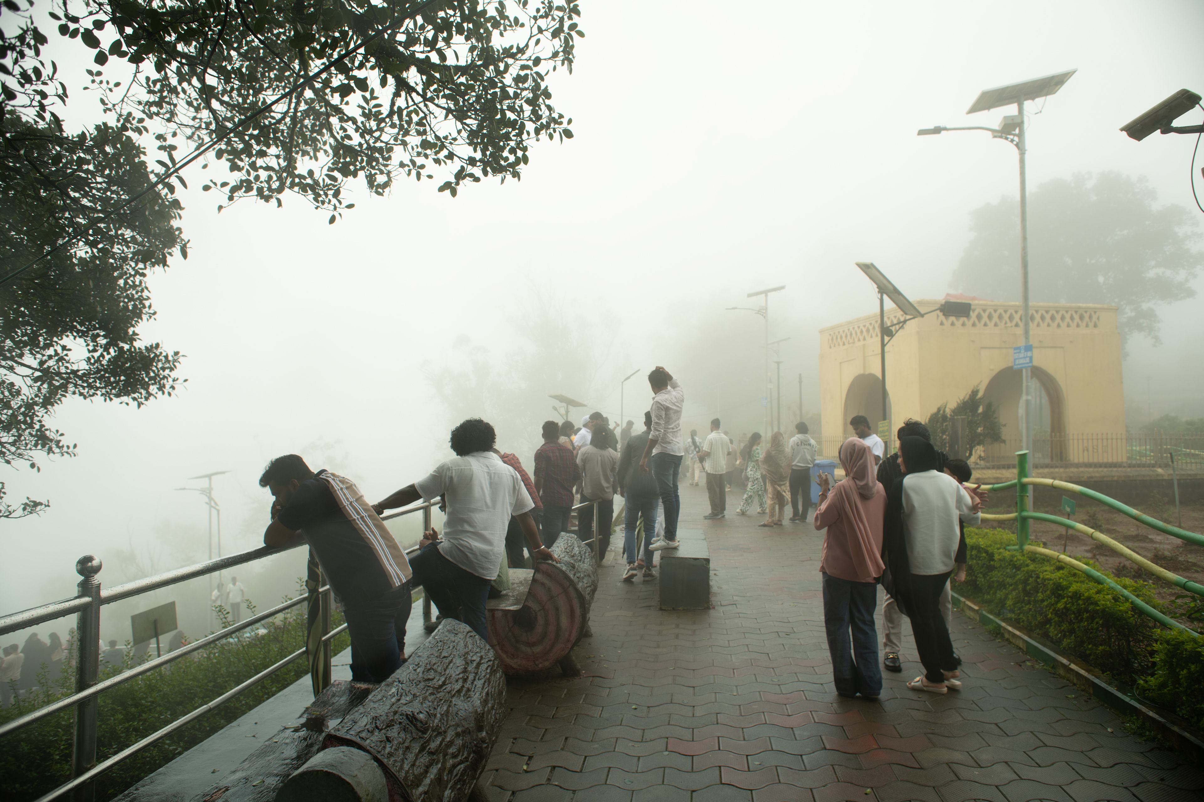 Nikon D850, Coorg 2025