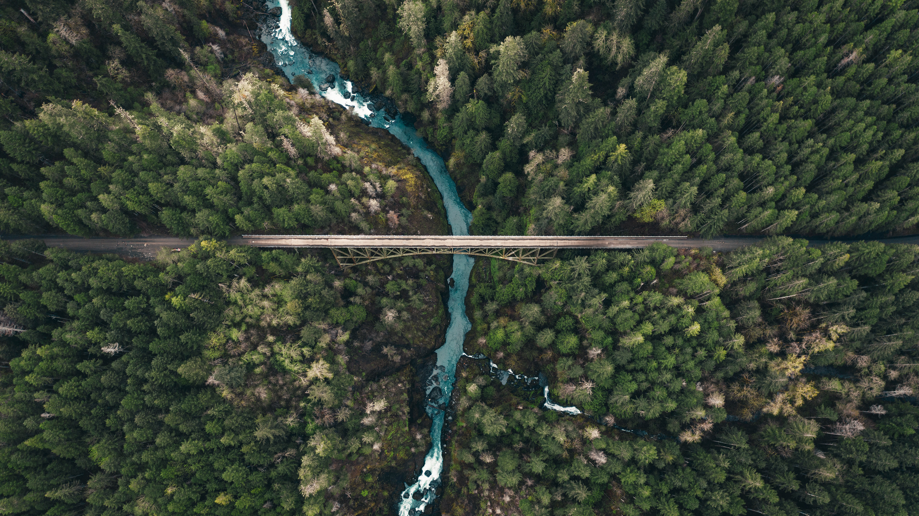 Abandoned Bridge - Seattle, WA