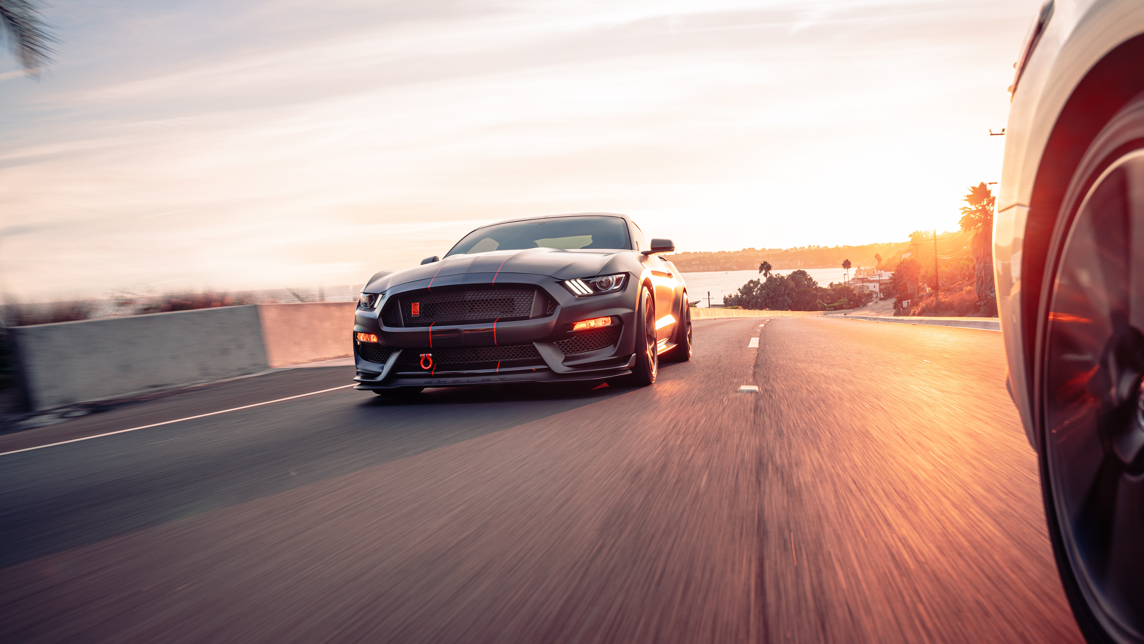 Shelby GT350R - Malibu, CA