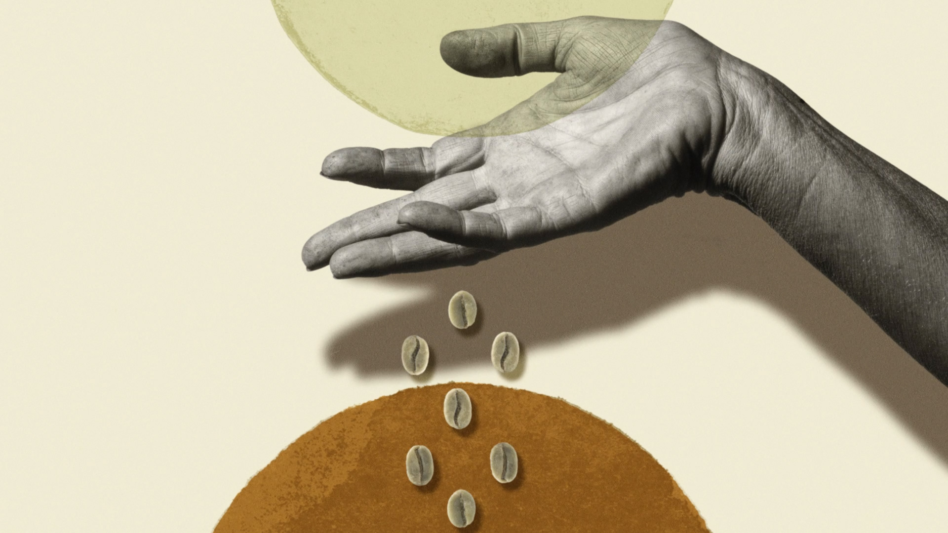 Playpics - illy Università del caffè