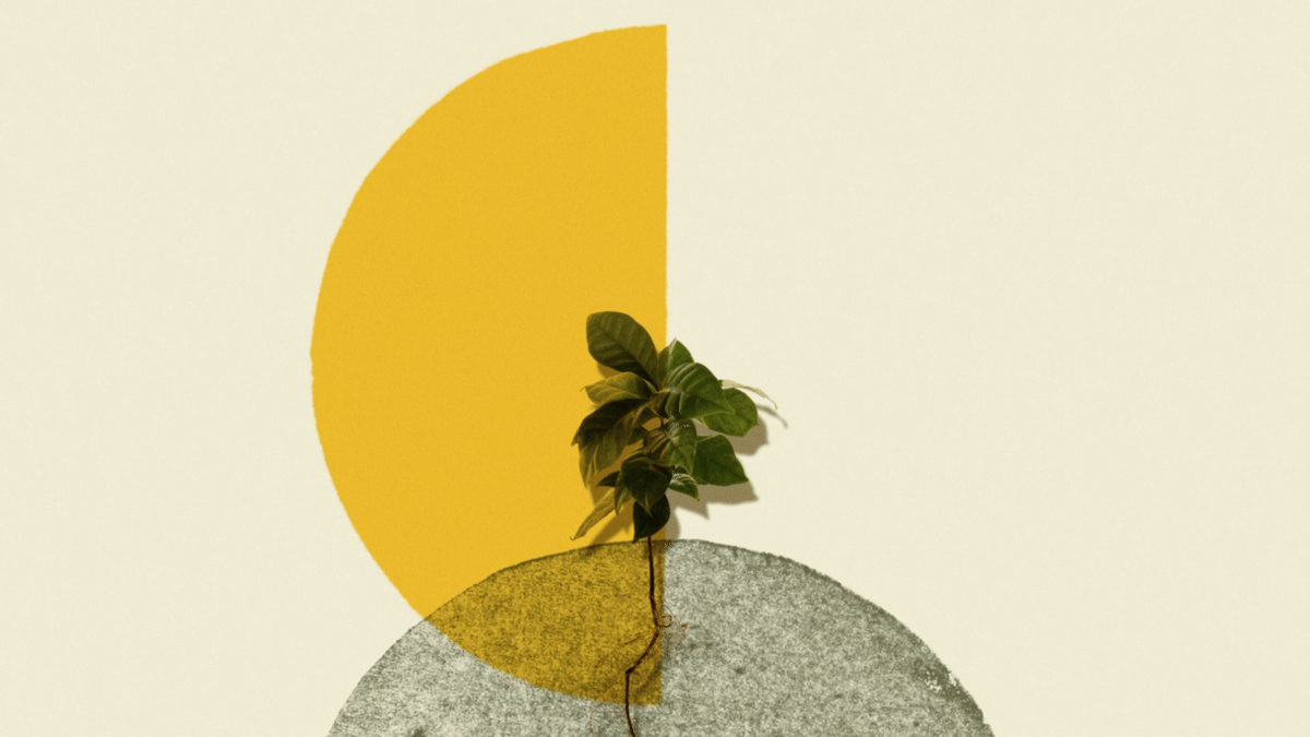 Playpics - illy Università del caffè