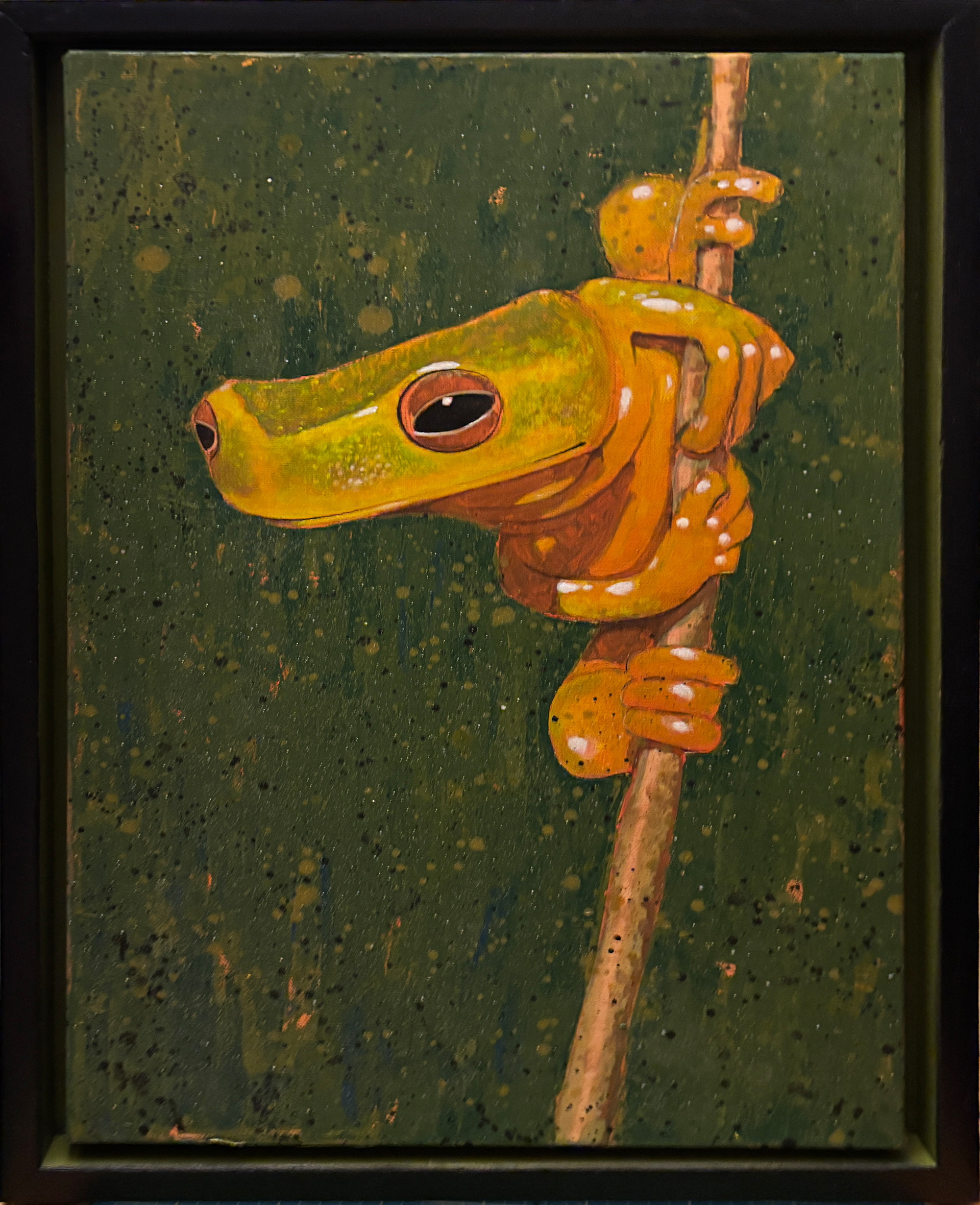 Trefrosk. Eier: Iben Rogne Bucher