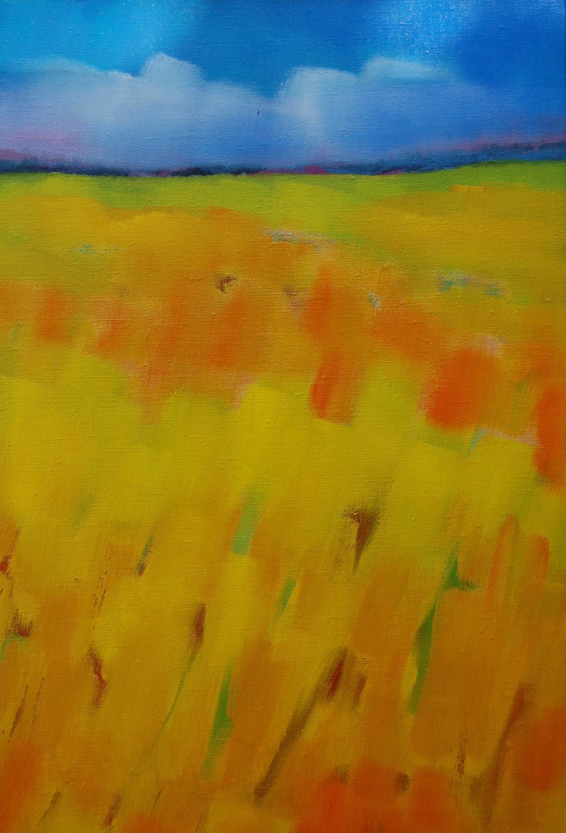 Kornåker. Eier: ukjent