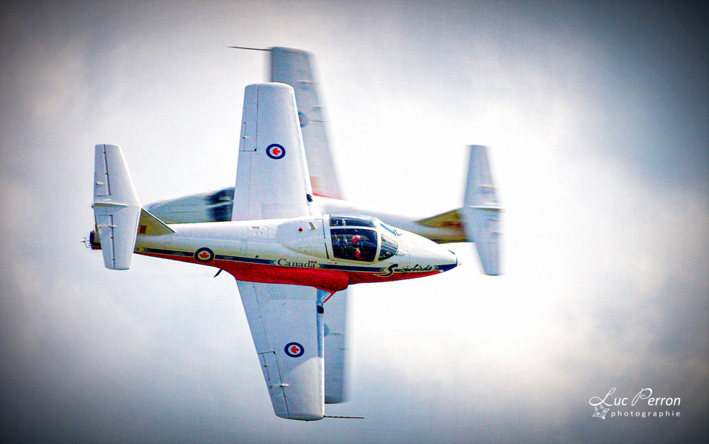 Snowbirds - Avion Canadair CT-114 Tutor