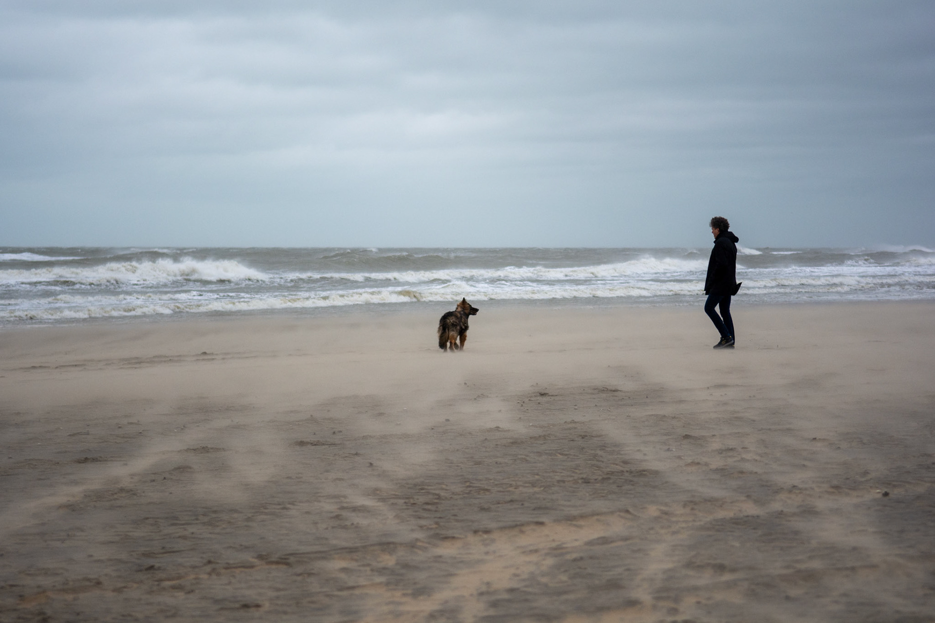 Hond samen met baasje lopen over het strand van Scheveningen