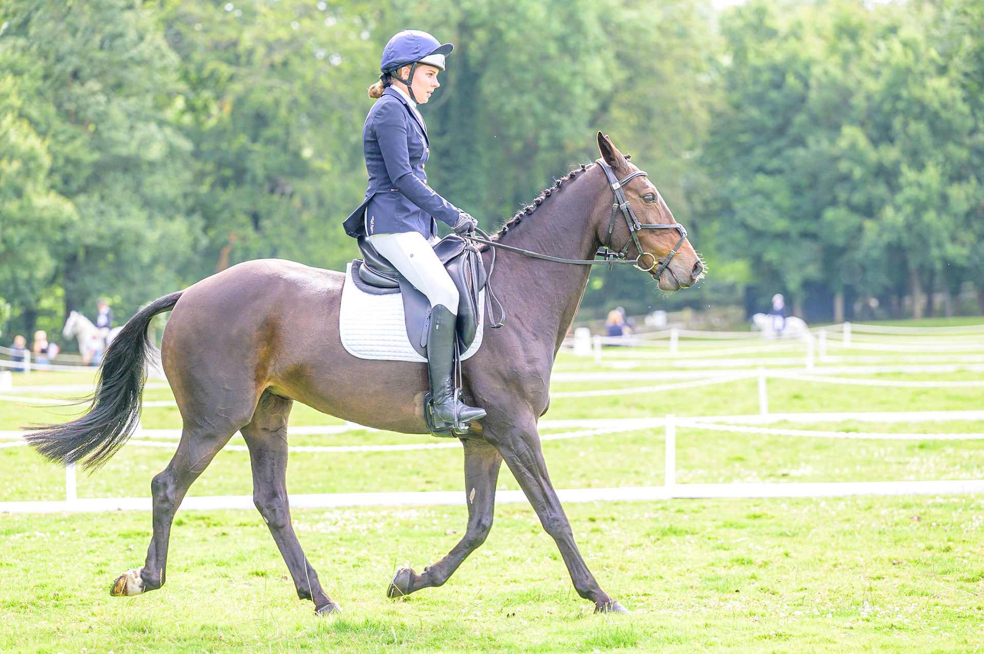 Three Day Eventing at Frickley Park