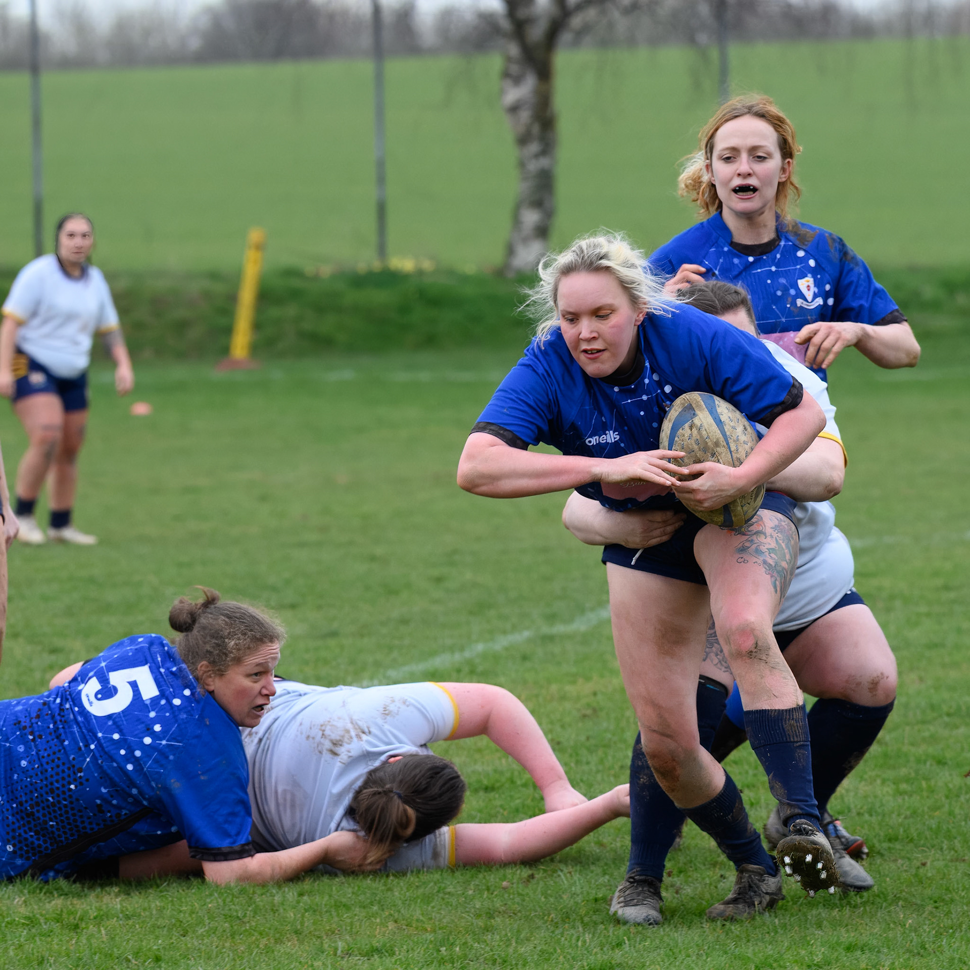 Ladies Rugby Union
