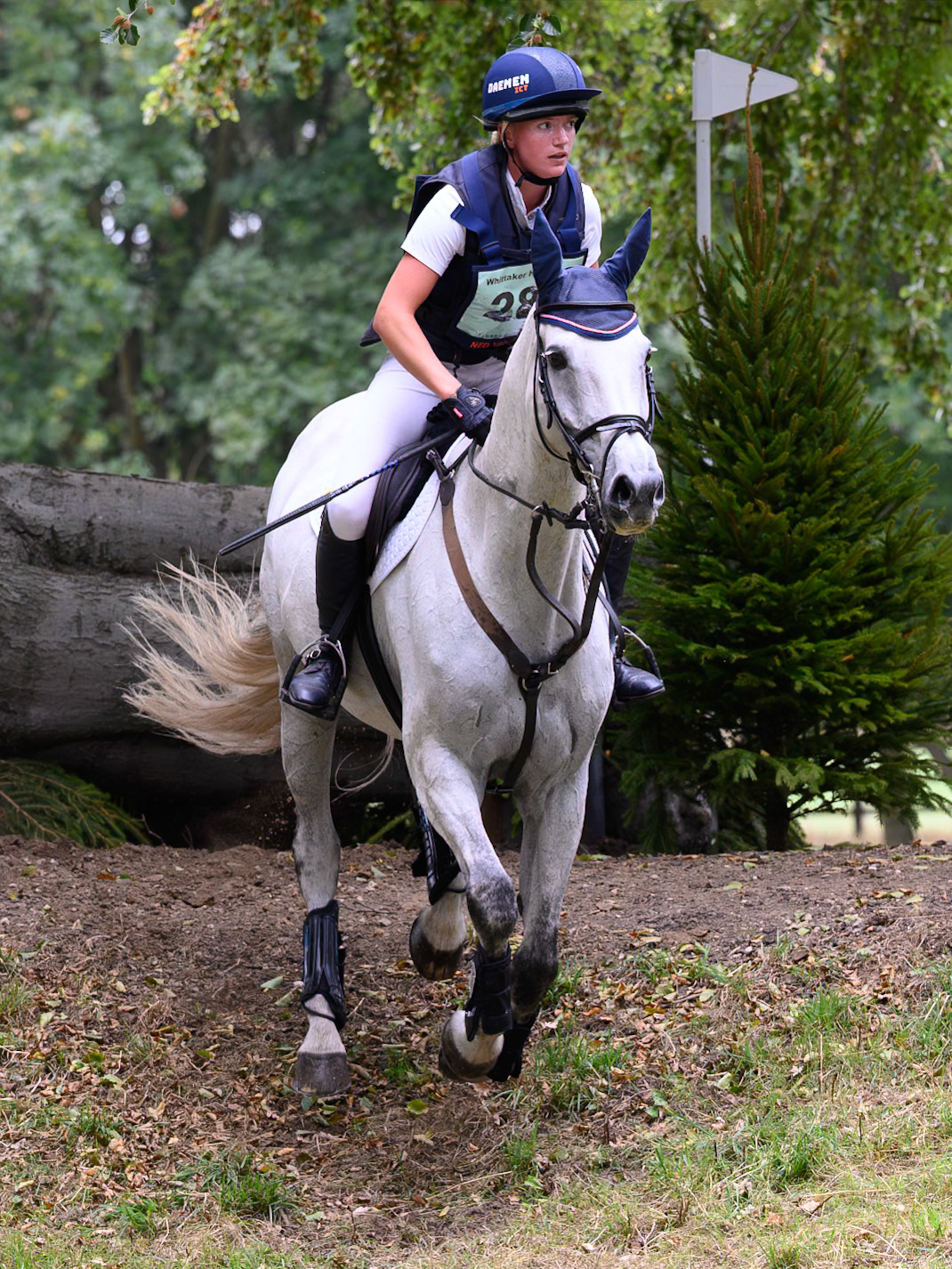 Three Day Eventing at Frickley Park