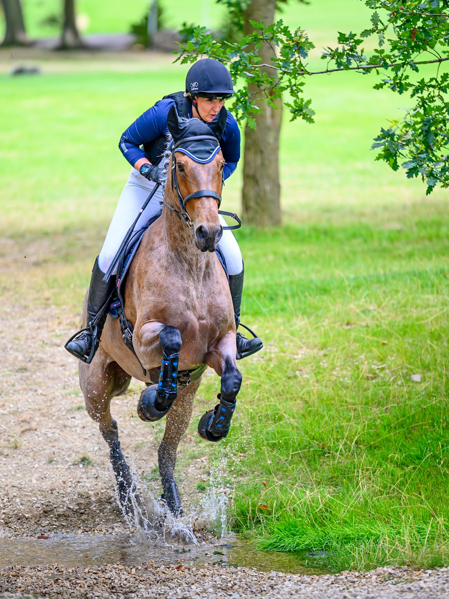 Three Day Eventing at Frickley Park