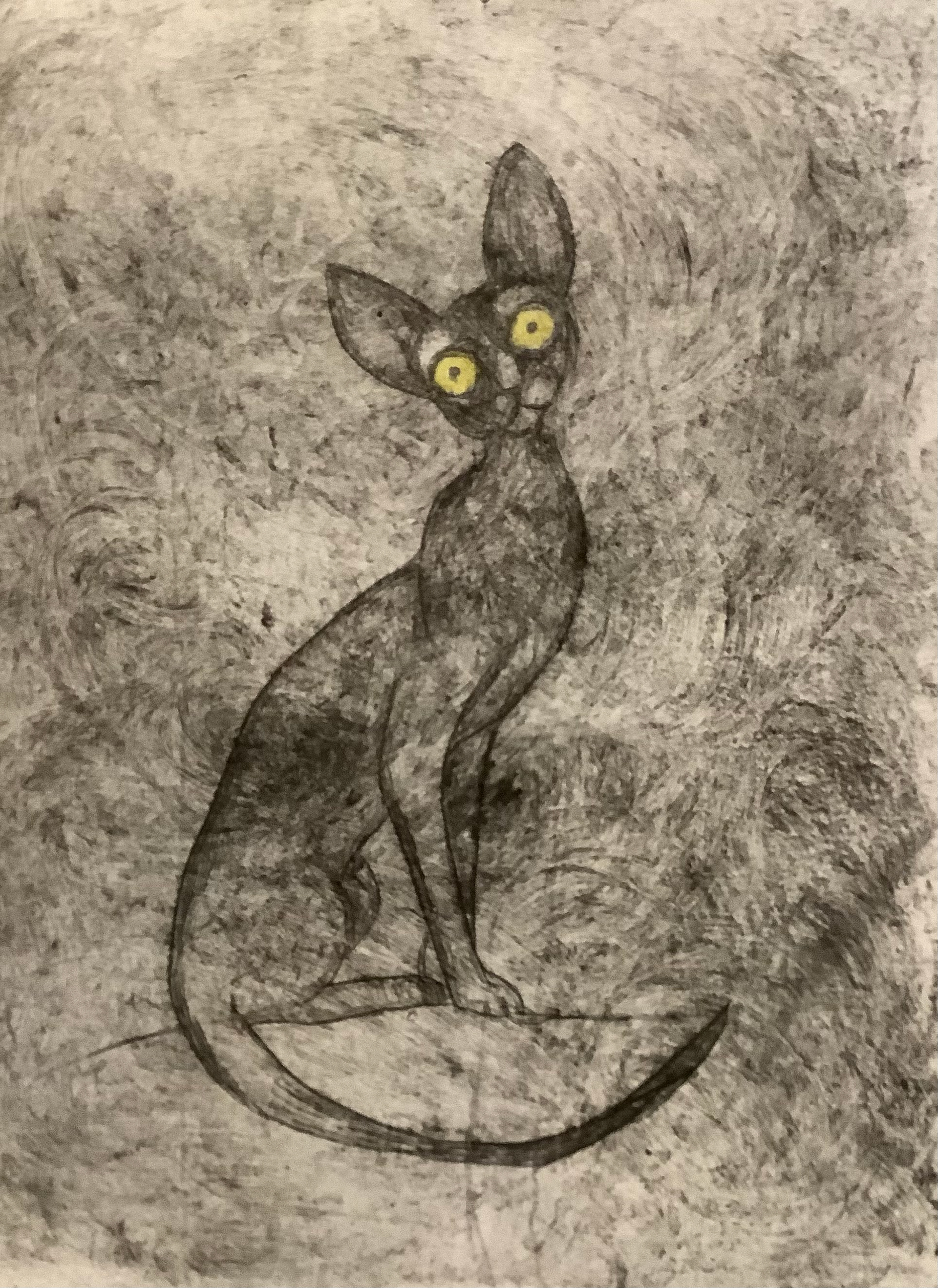 Cornish Rex (07), Drypoint Print & Watercolour, Lois Pawson, 2026