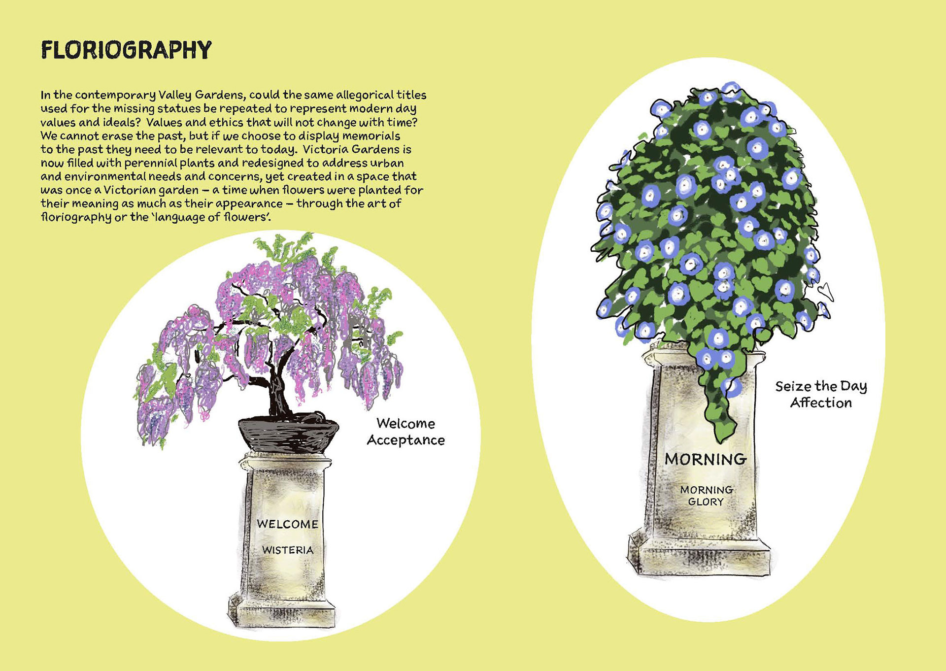 Floriography - Editorial Digital Illustration - Lois Pawson - 2022