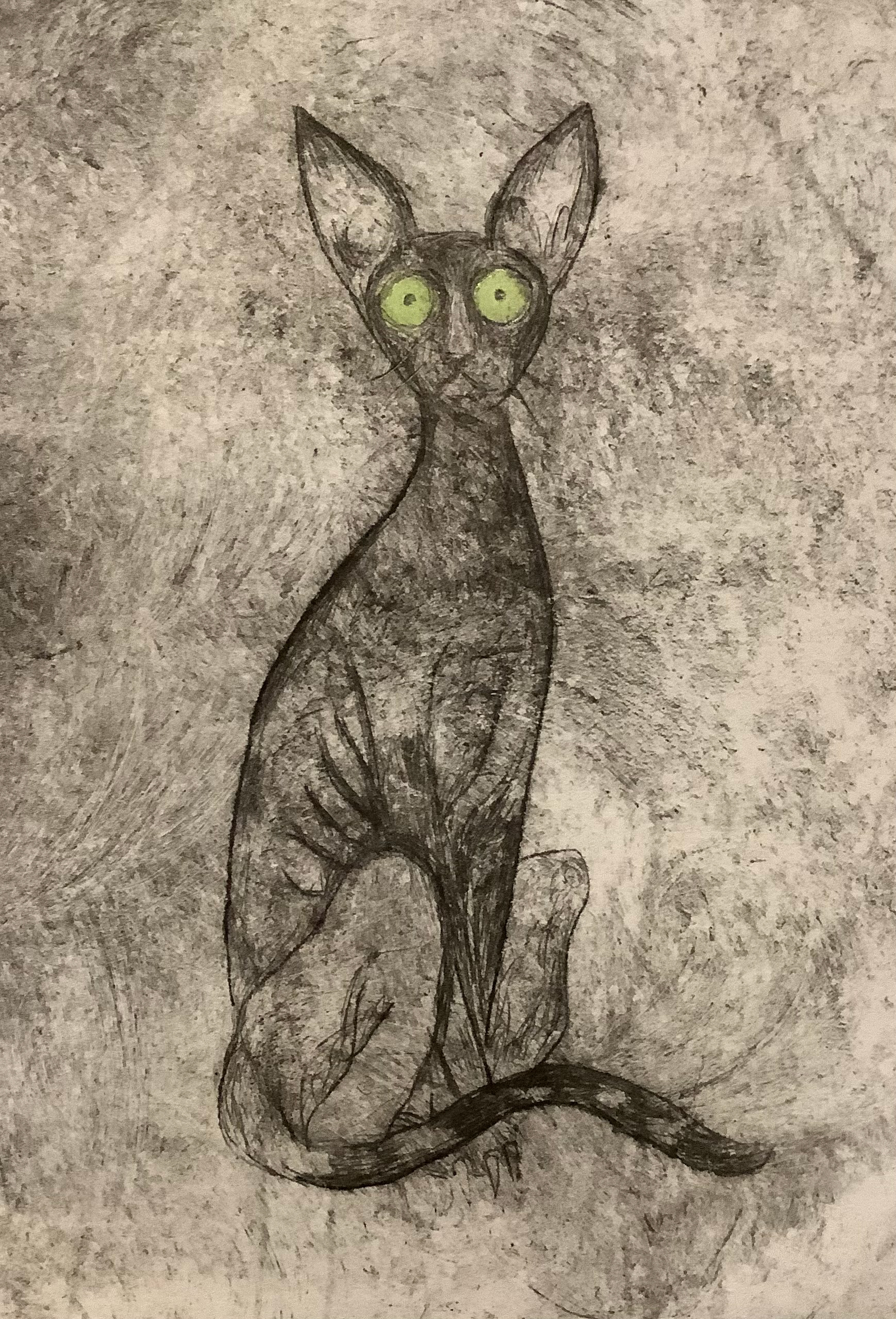 Cornish Rex (01), Drypoint Print & Watercolour, Lois Pawson, 2026