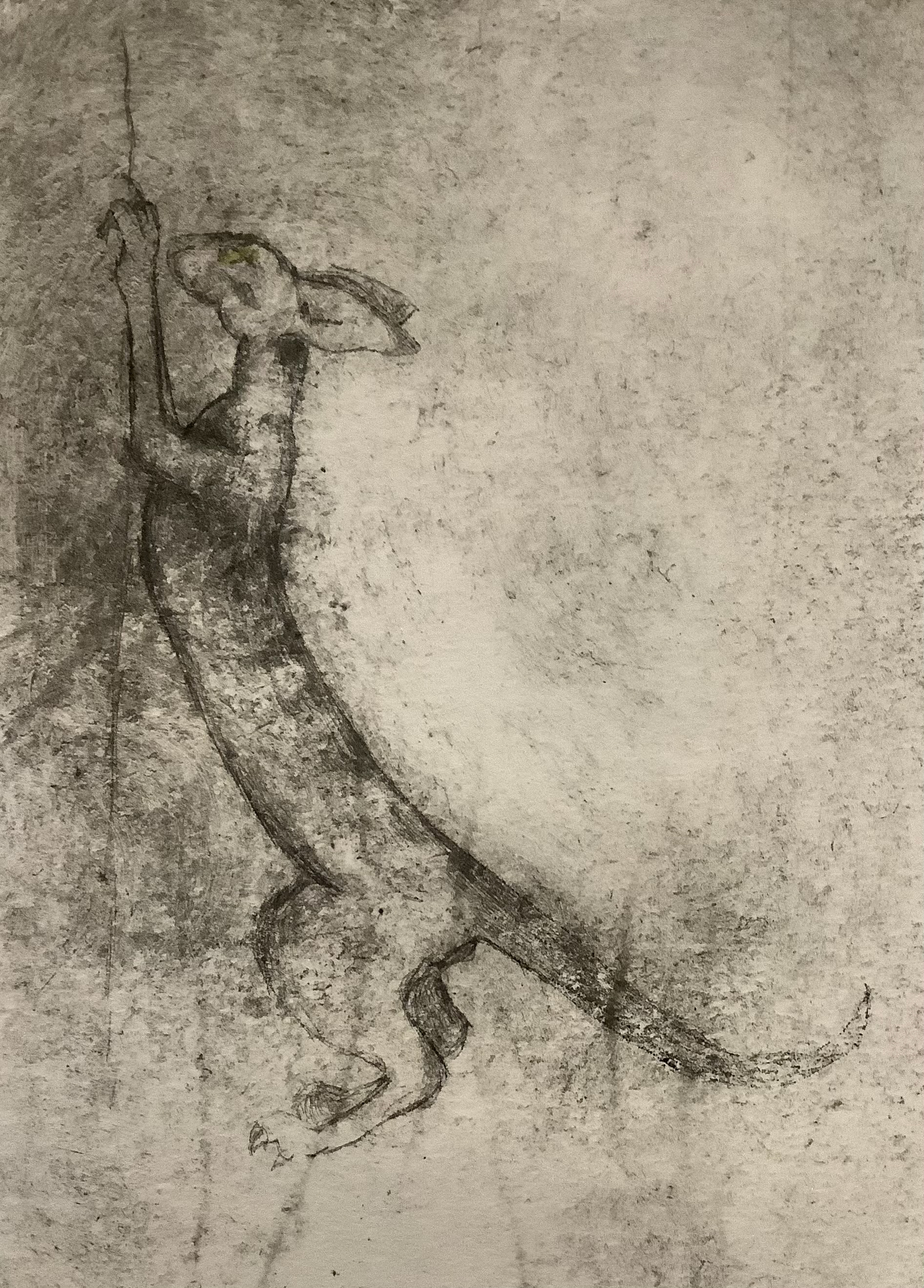 Cornish Rex (04), Drypoint Print & Watercolour, Lois Pawson, 2026
