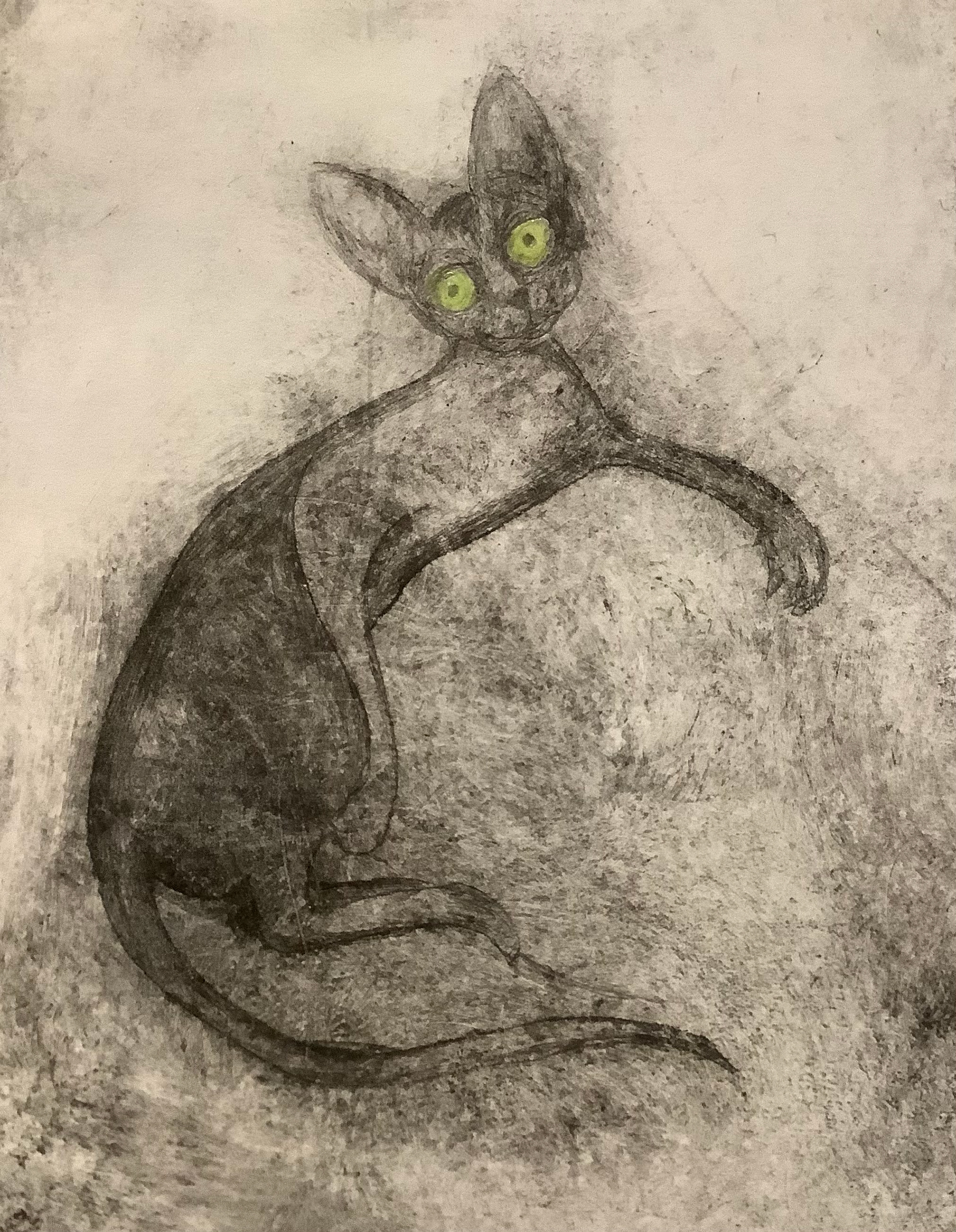 Cornish Rex (08), Drypoint Print & Watercolour, Lois Pawson, 2026