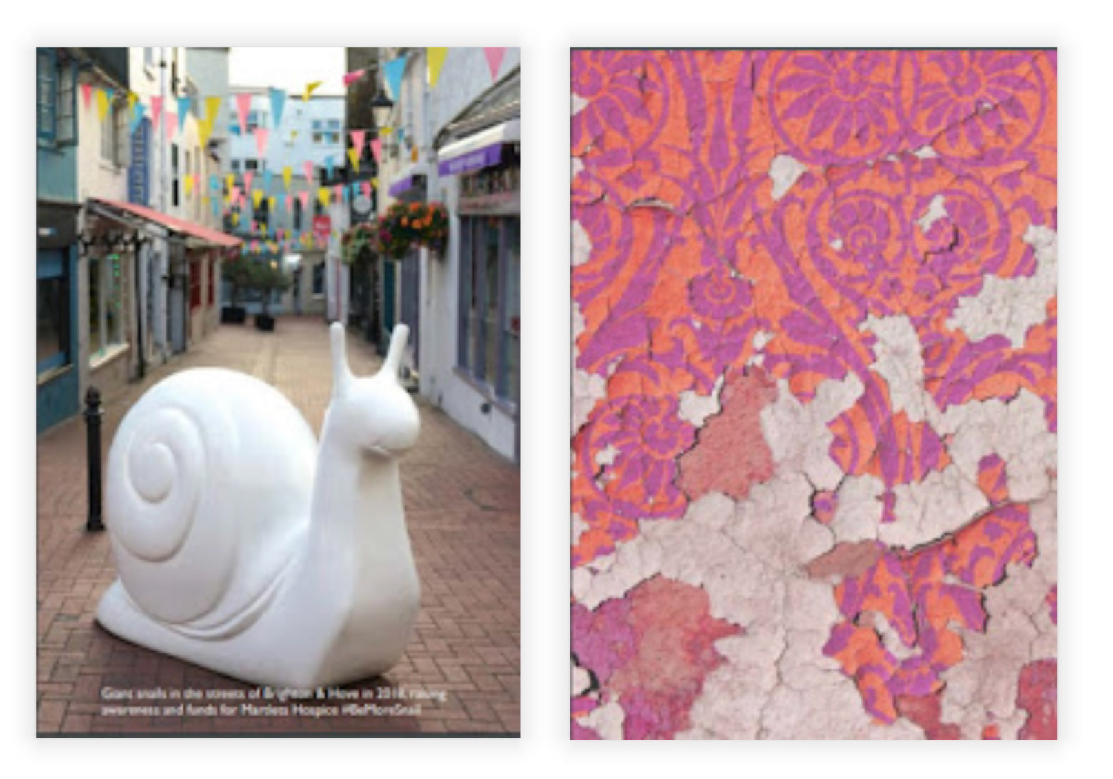 Publication Layouts & Photo Editing - Lois Pawson 2017