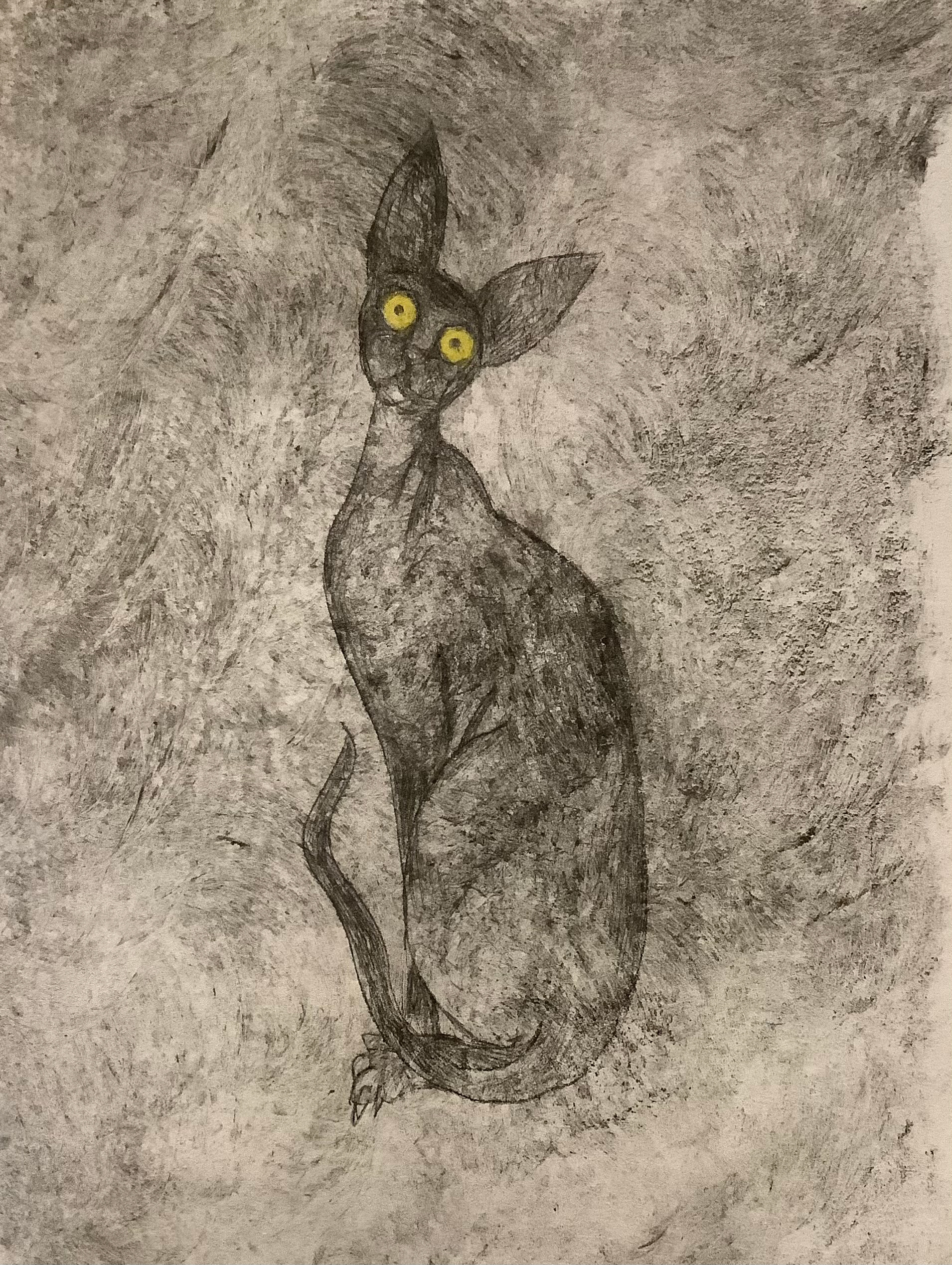 Cornish Rex (06), Drypoint Print & Watercolour, Lois Pawson, 2026