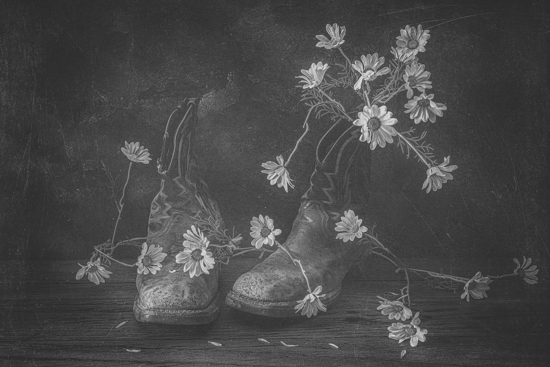 Grow Where You're Rooted