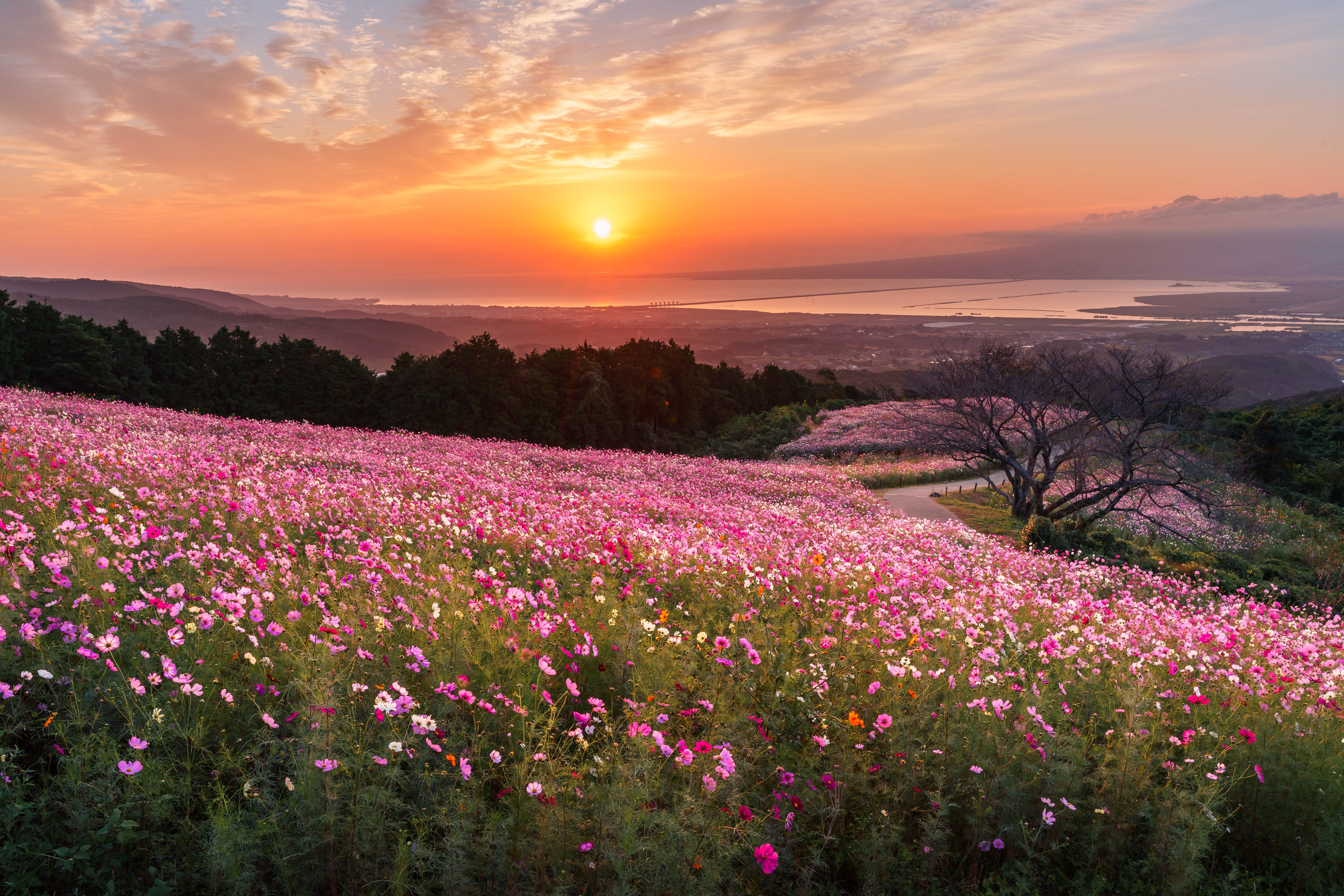白木峰高原