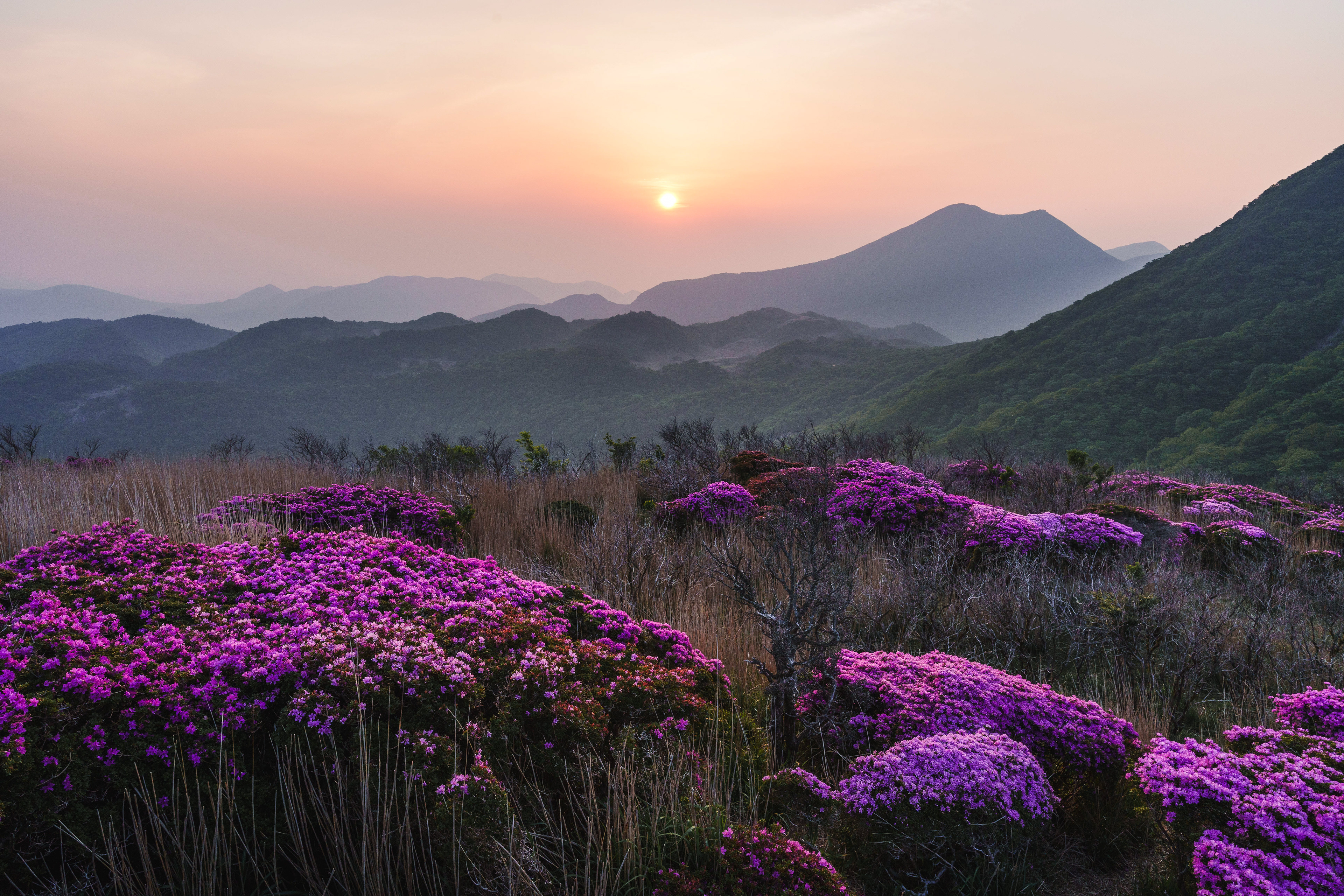 指山
