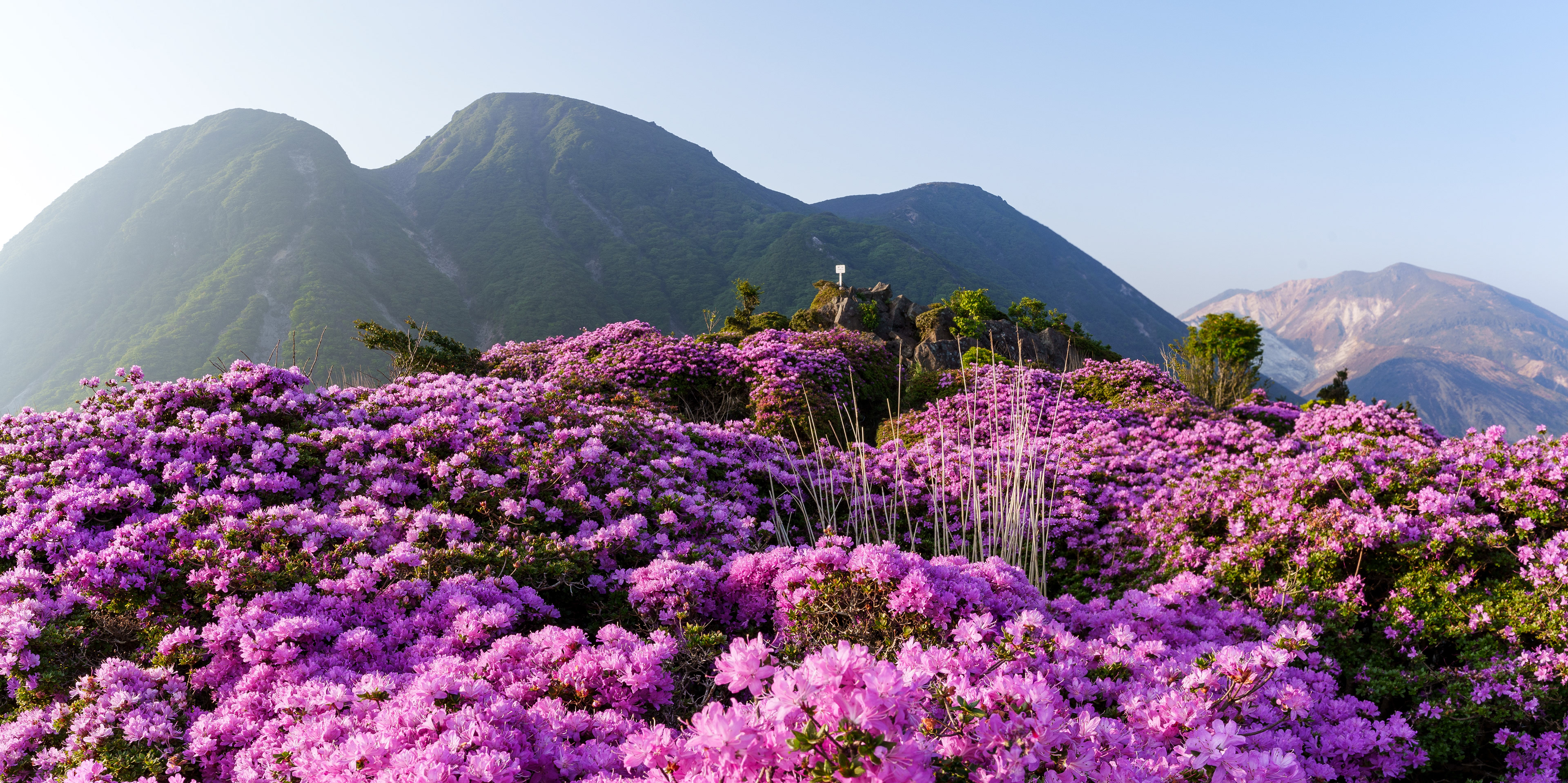 指山