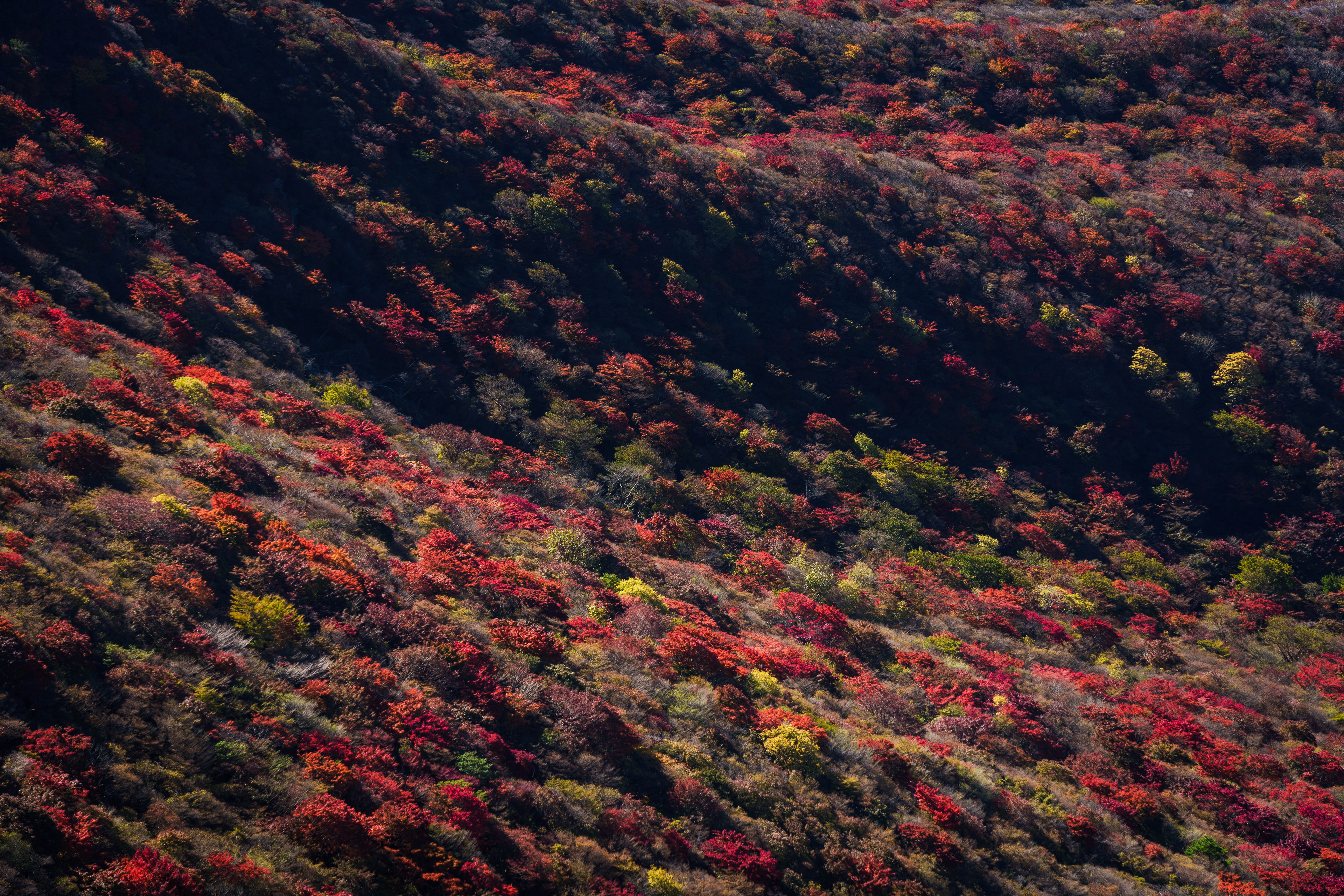 大船山