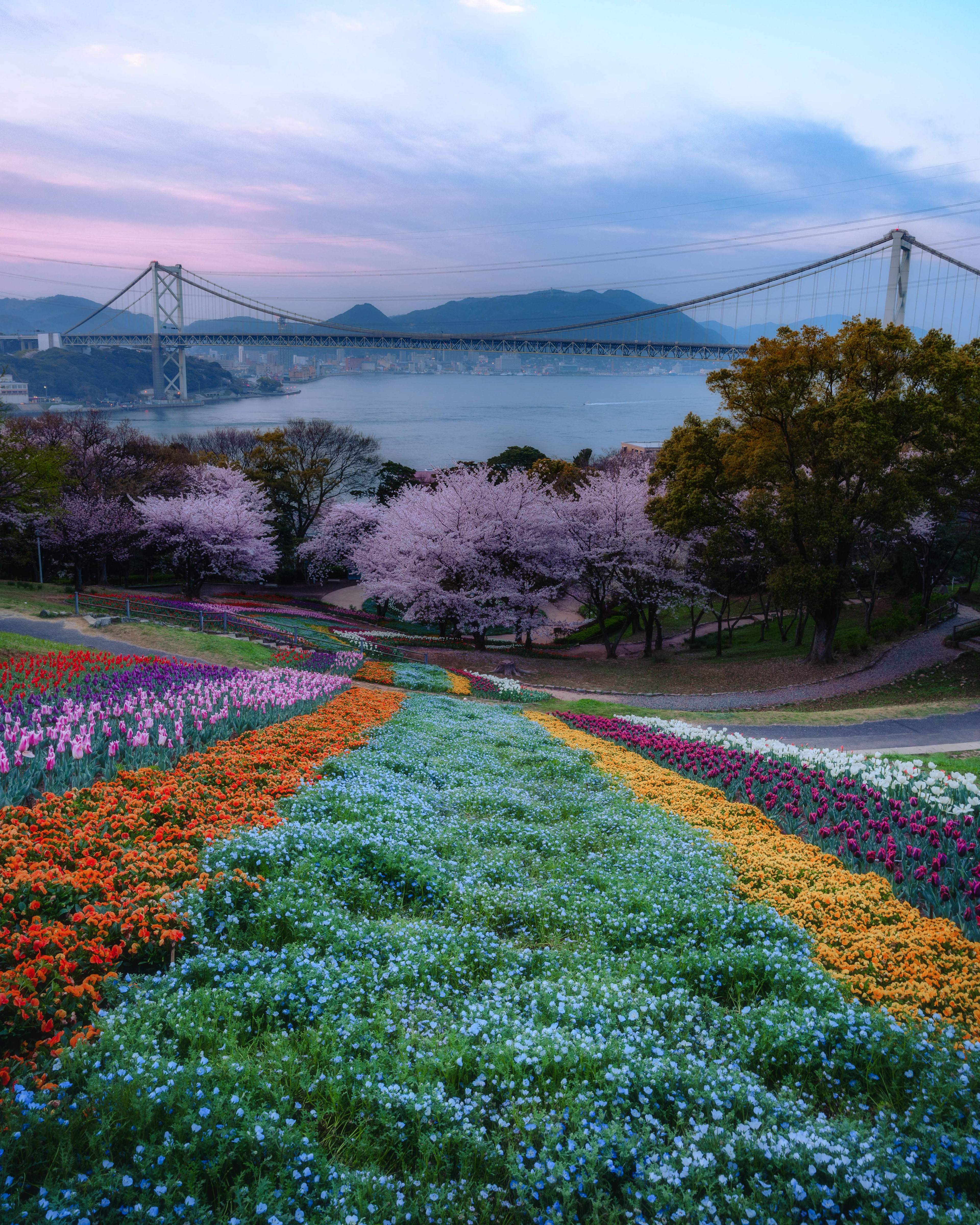 火の山トルコチューリップ園