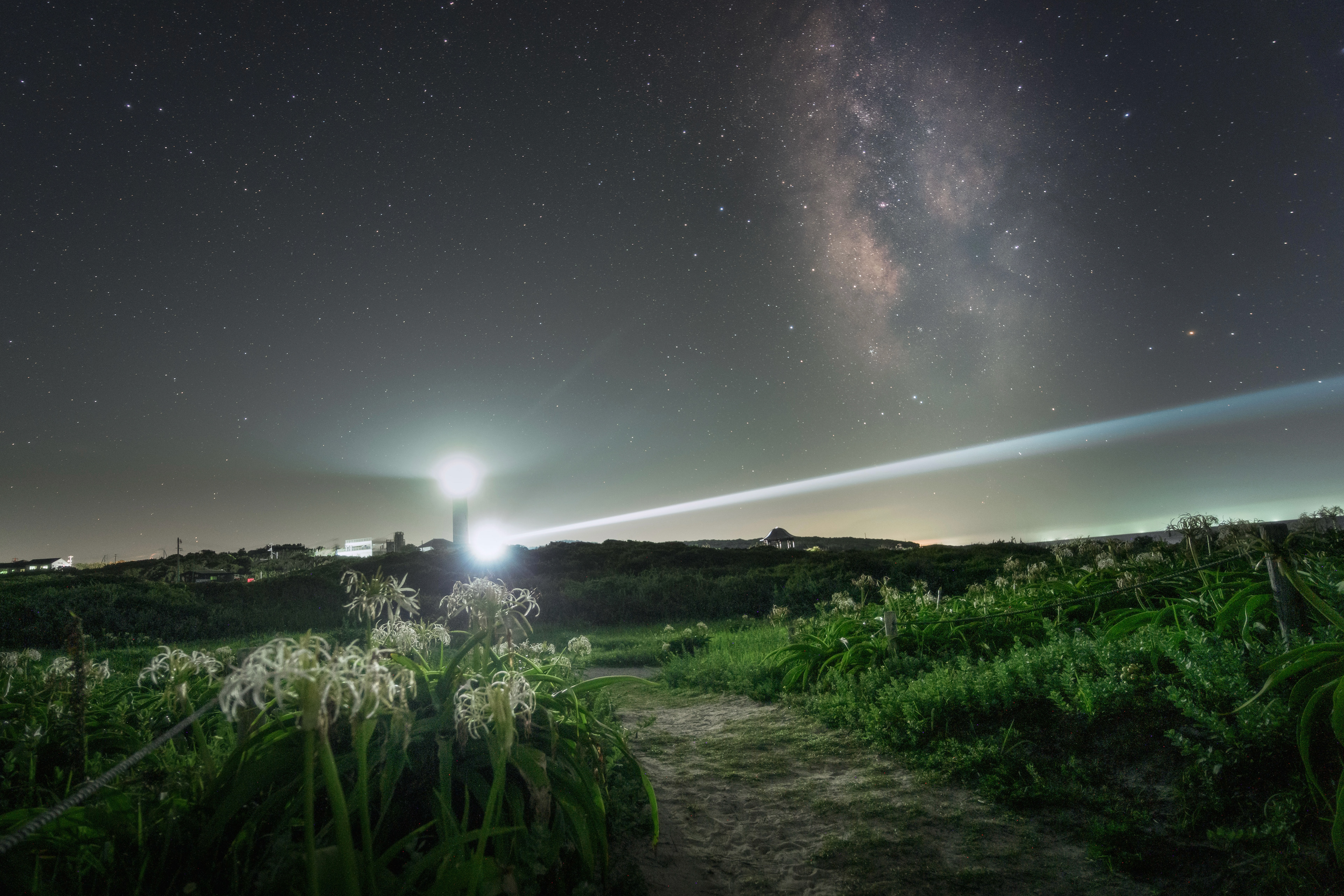 角島の夜空とハマユウ