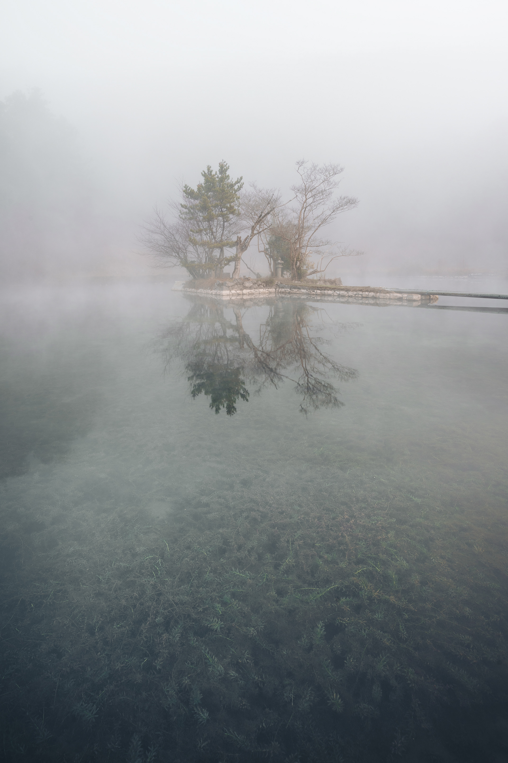 白水の池