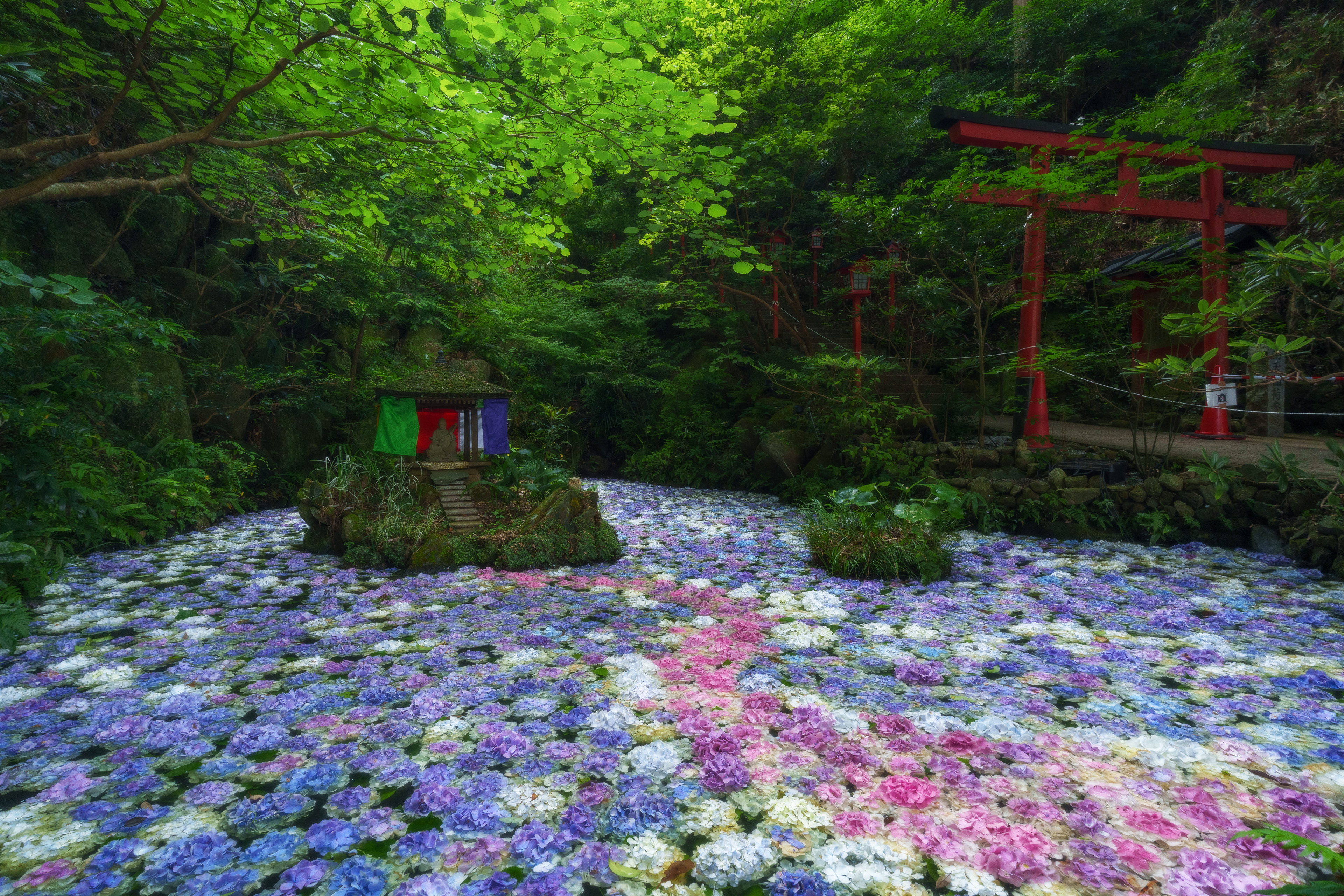 南蔵院