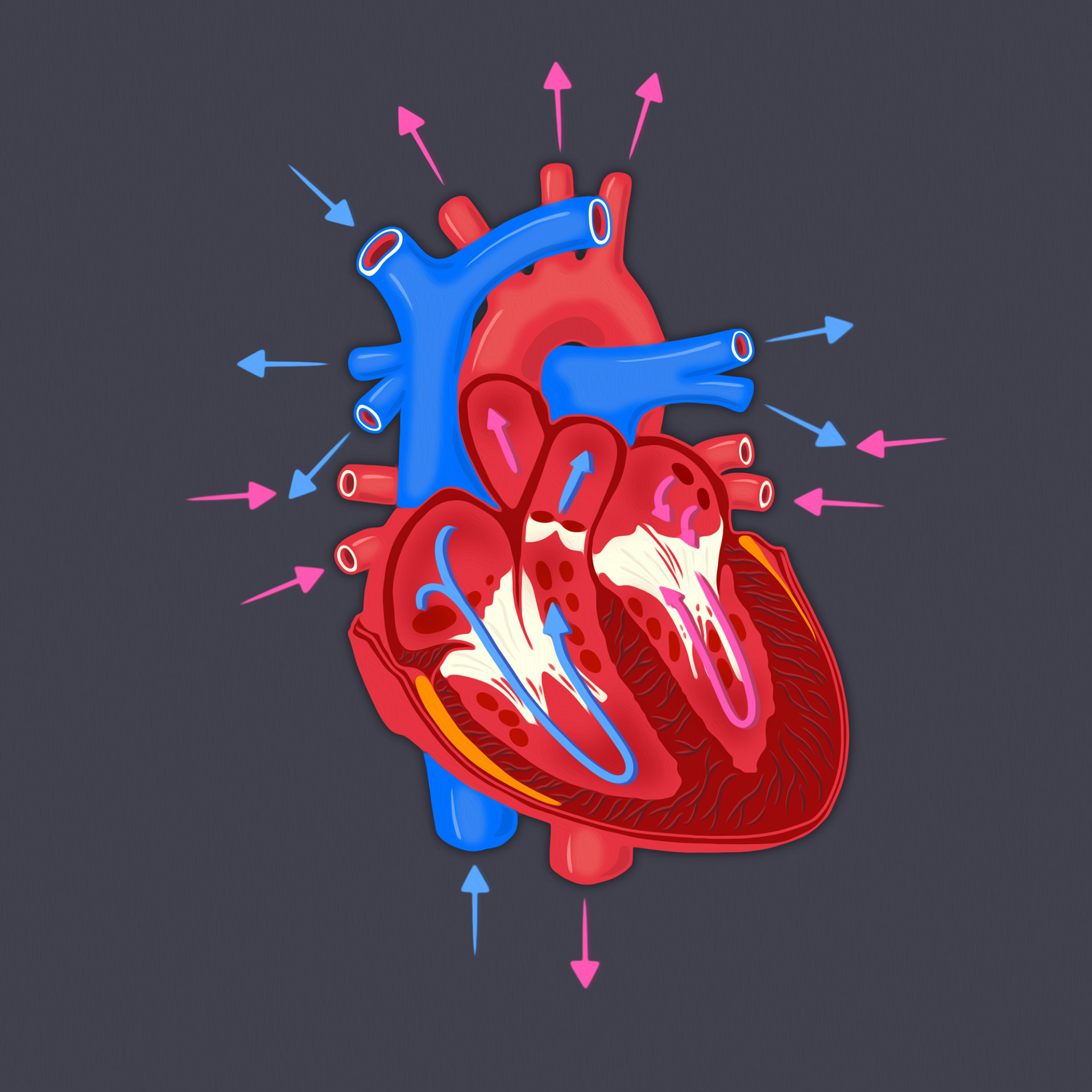 Medical illustration