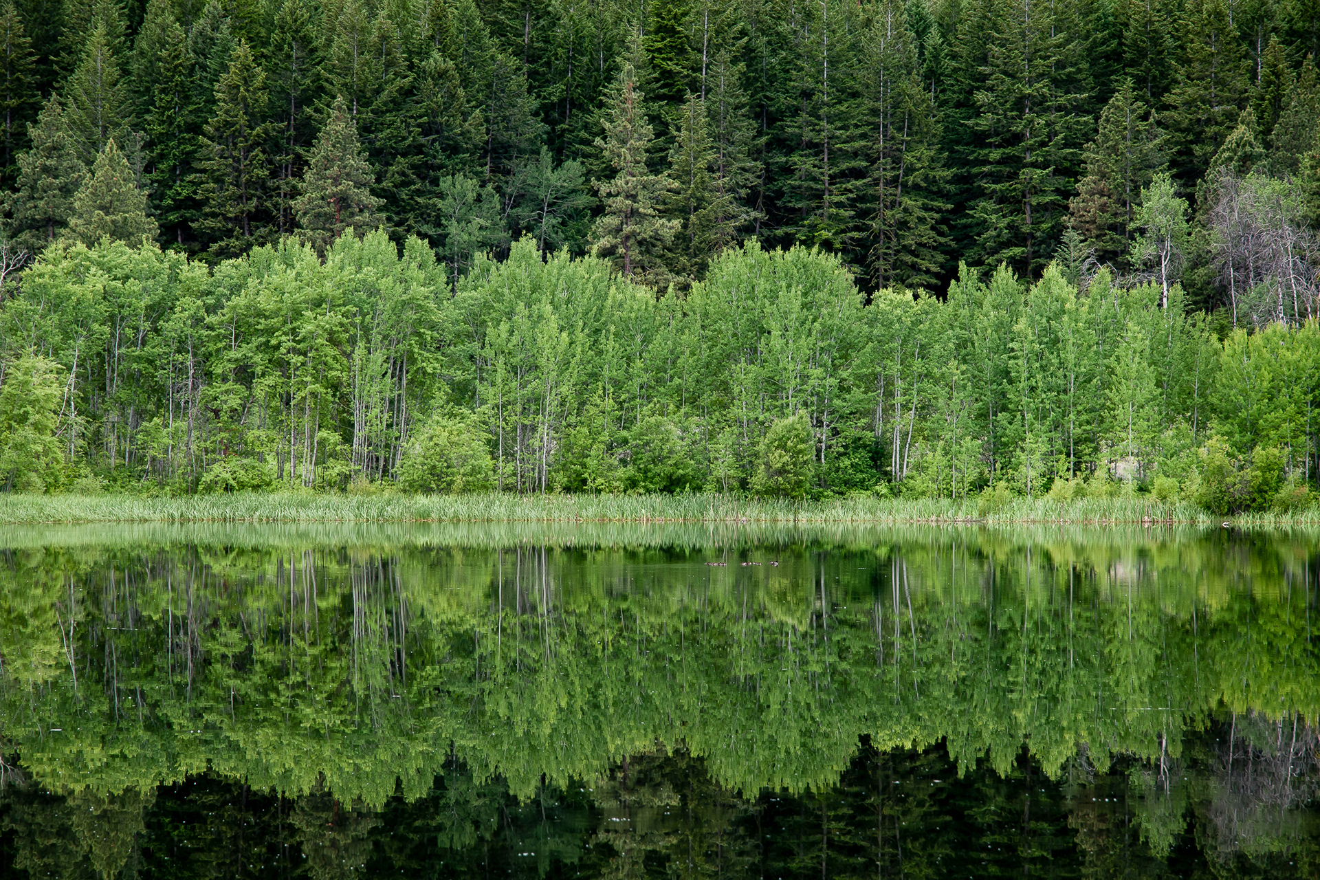 Aspen Lake