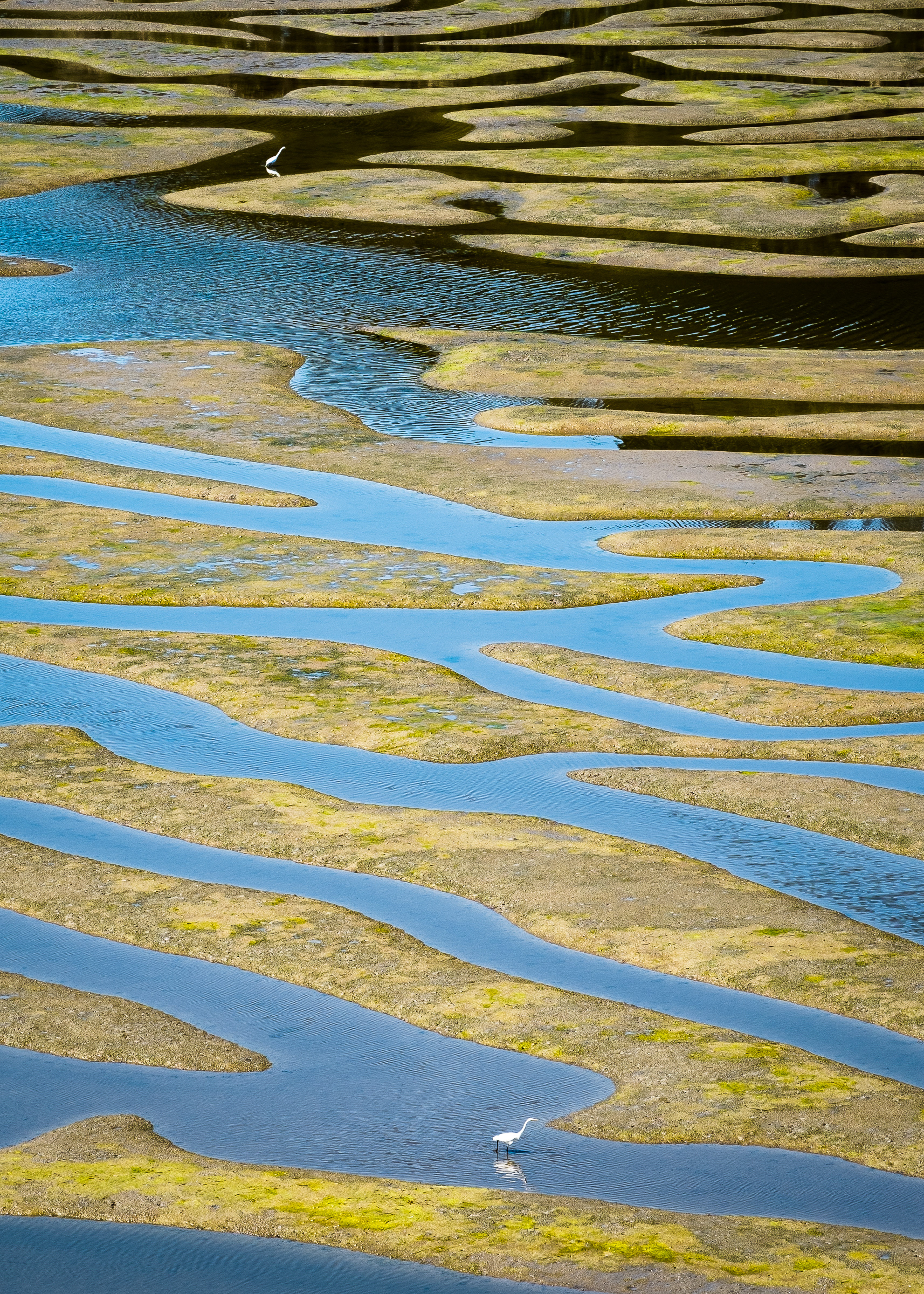Drakes Estero, Point Reyes