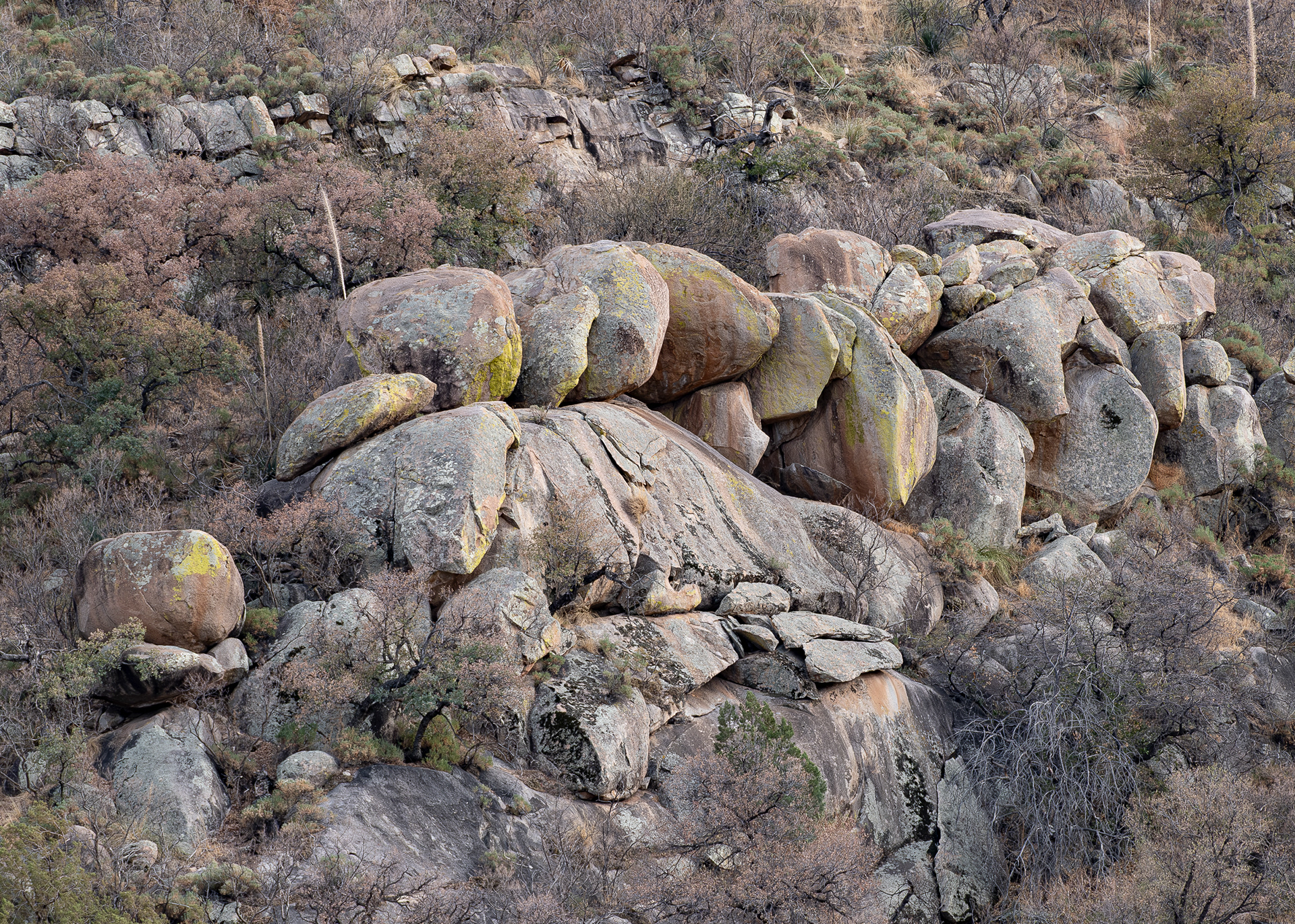 Madera Canyon