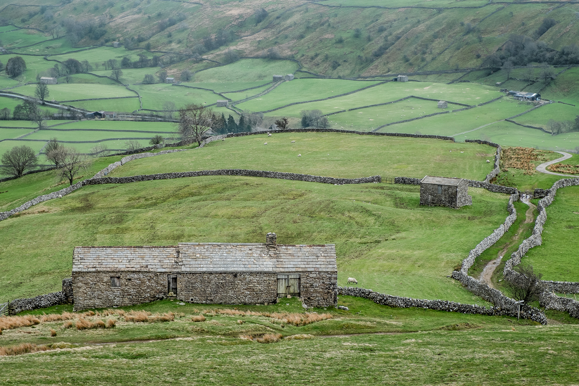 Muker to Thwaite walk