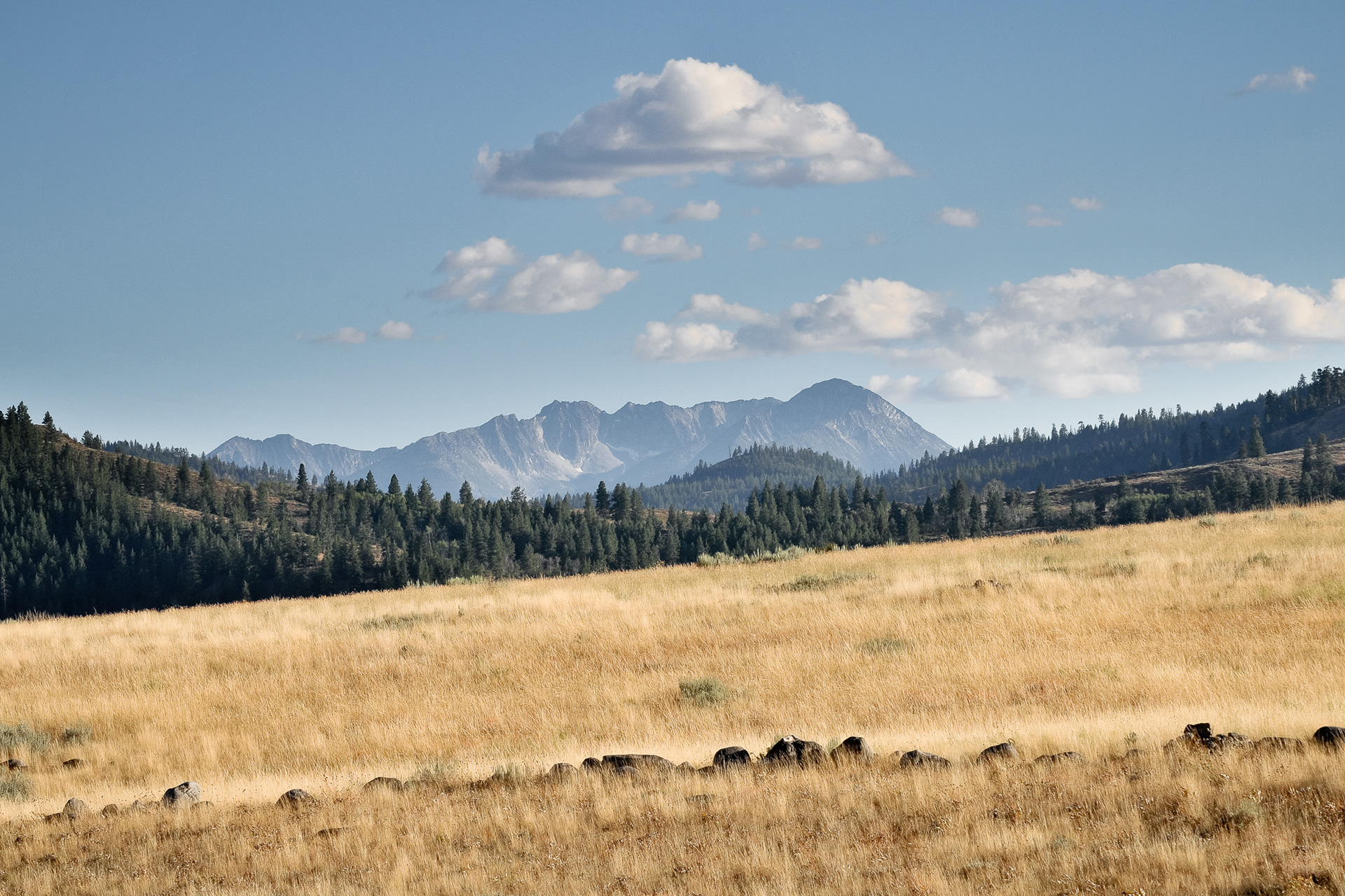 Rendezvous Wildlife Area
