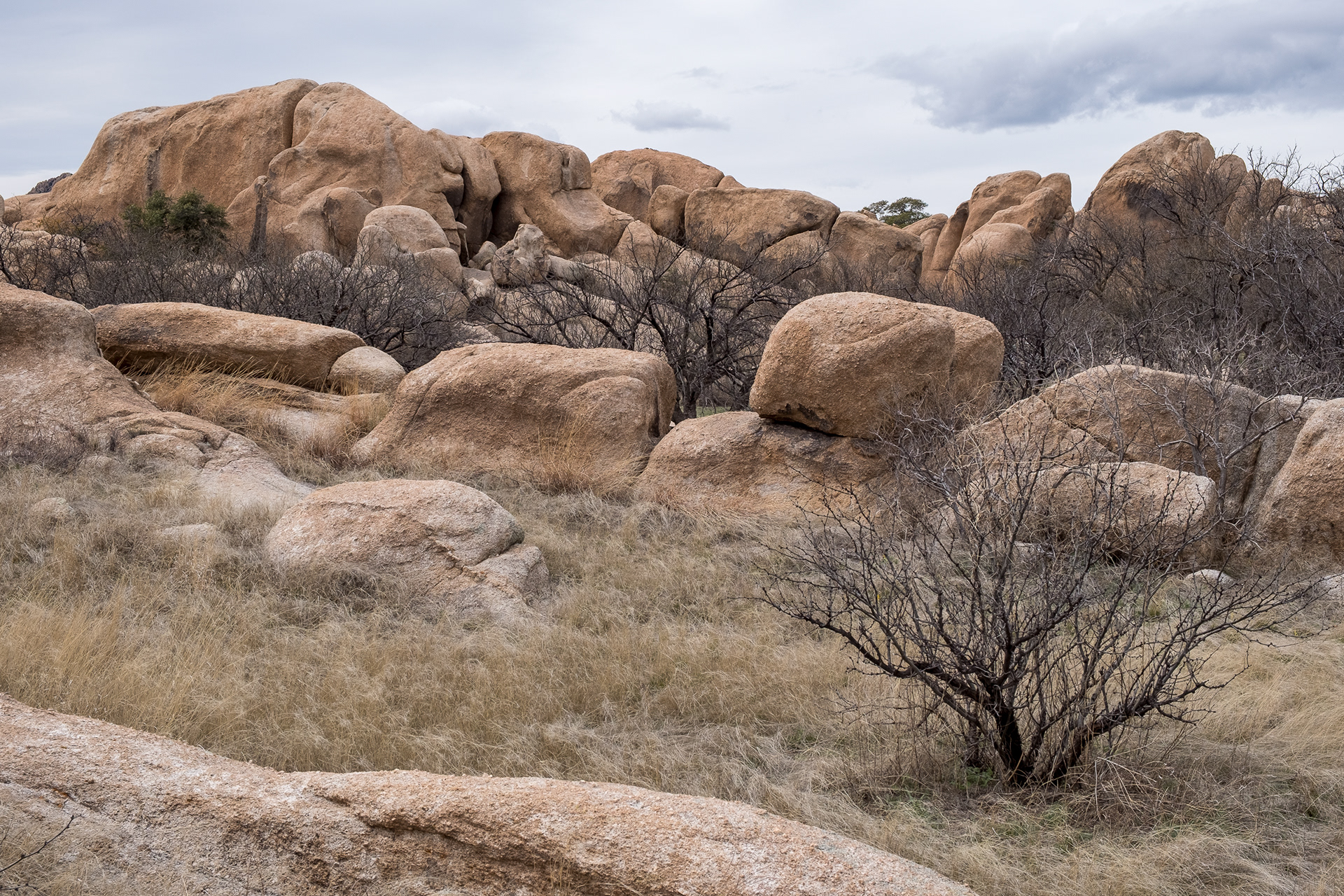 Texas Canyon Nature Preserve