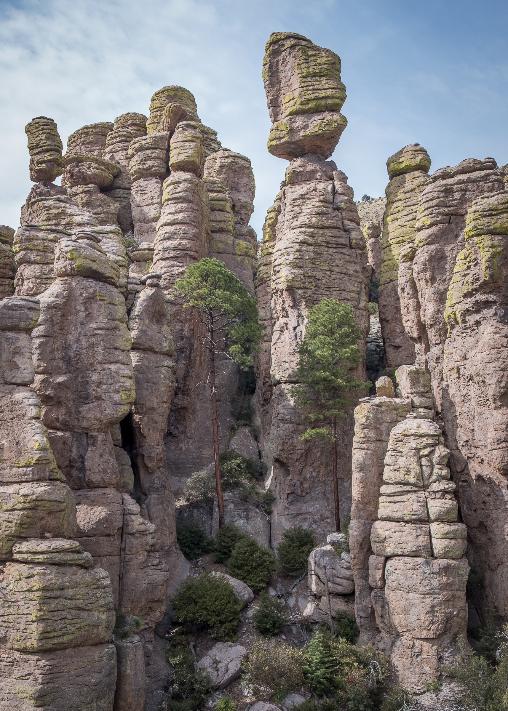 Chiricahua National Monument