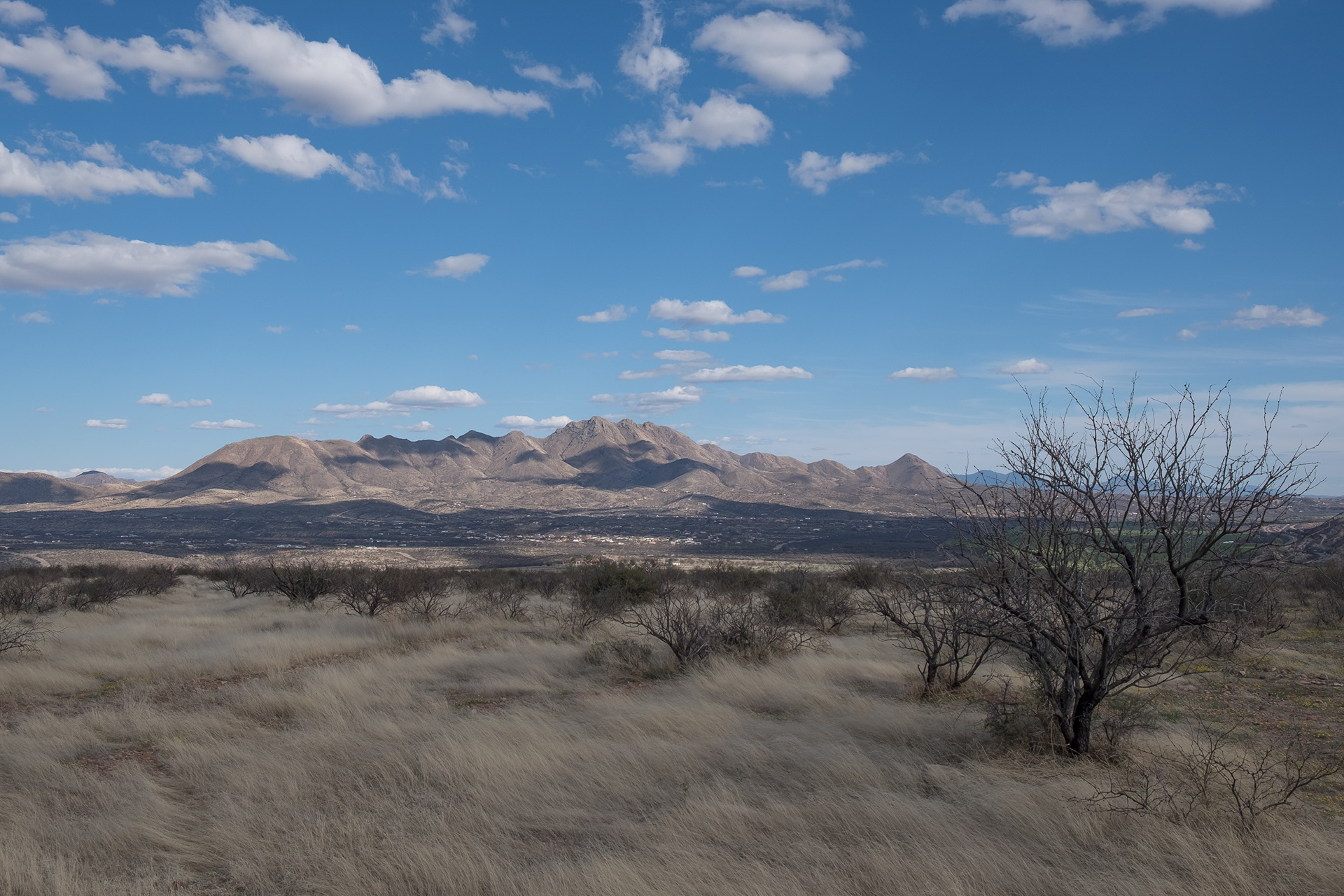 Santa Rita Mountains