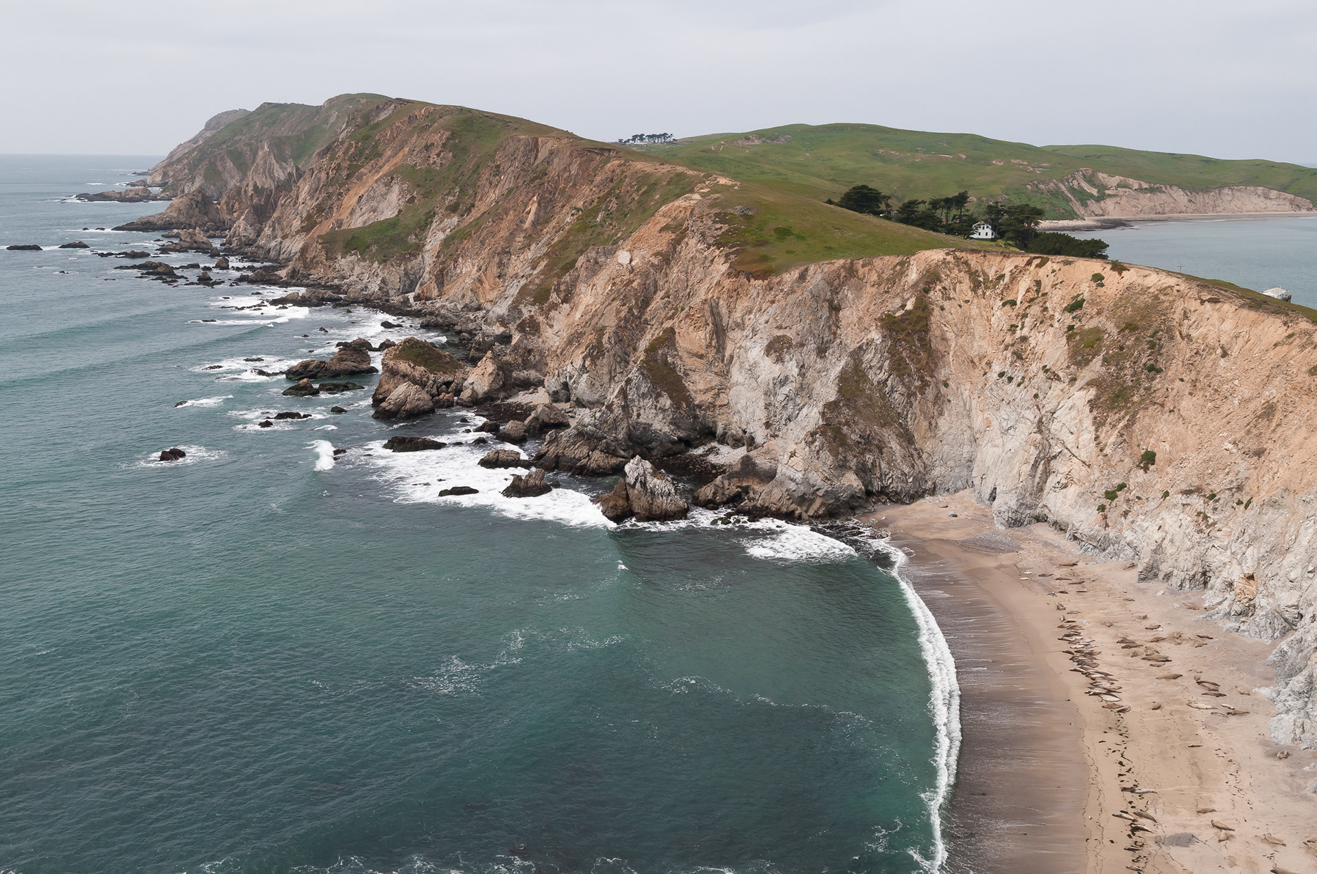 Point Reyes