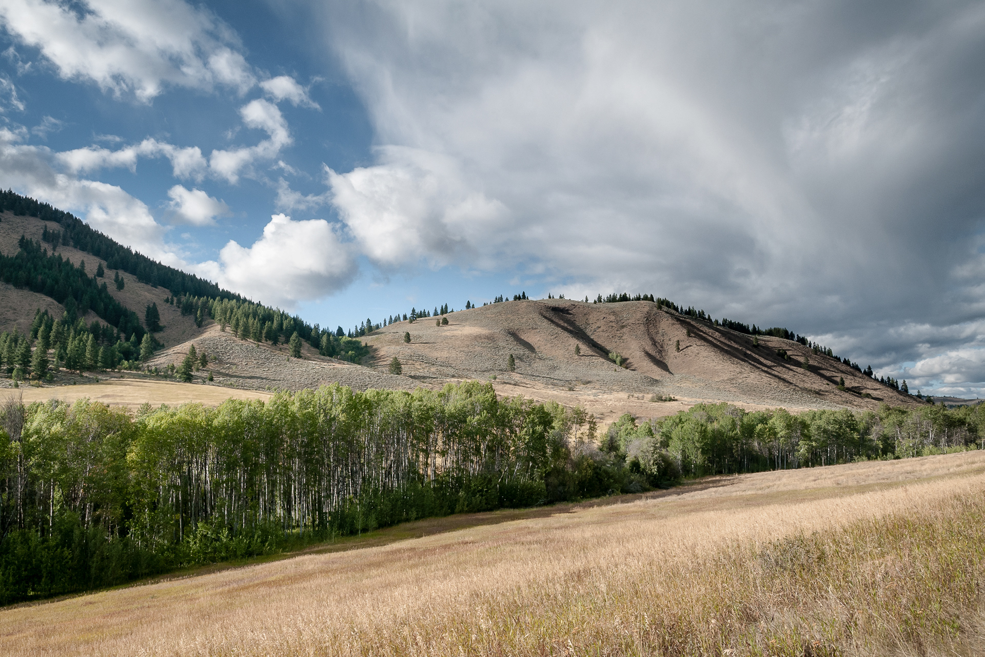 Gunn Ranch