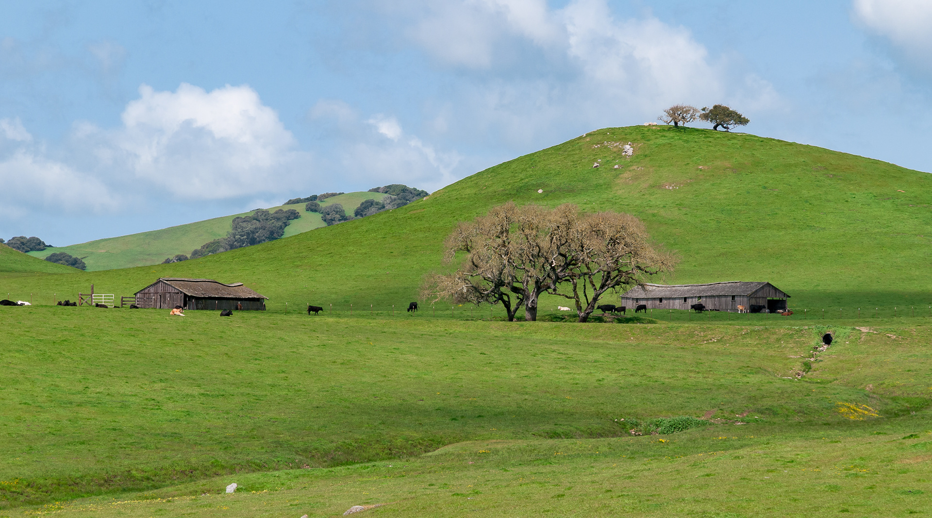Marin County