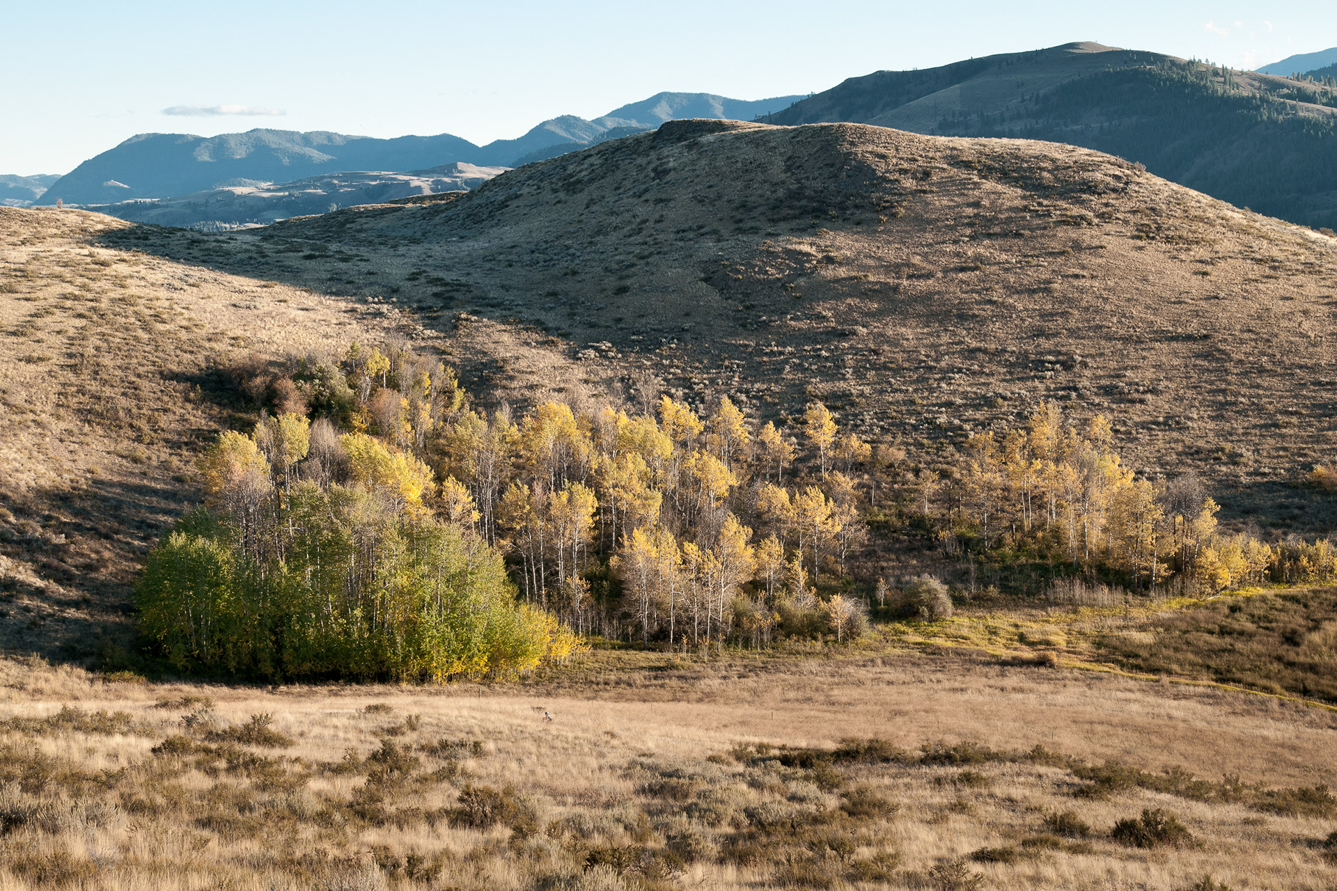 Rendezvous Wildlife Area