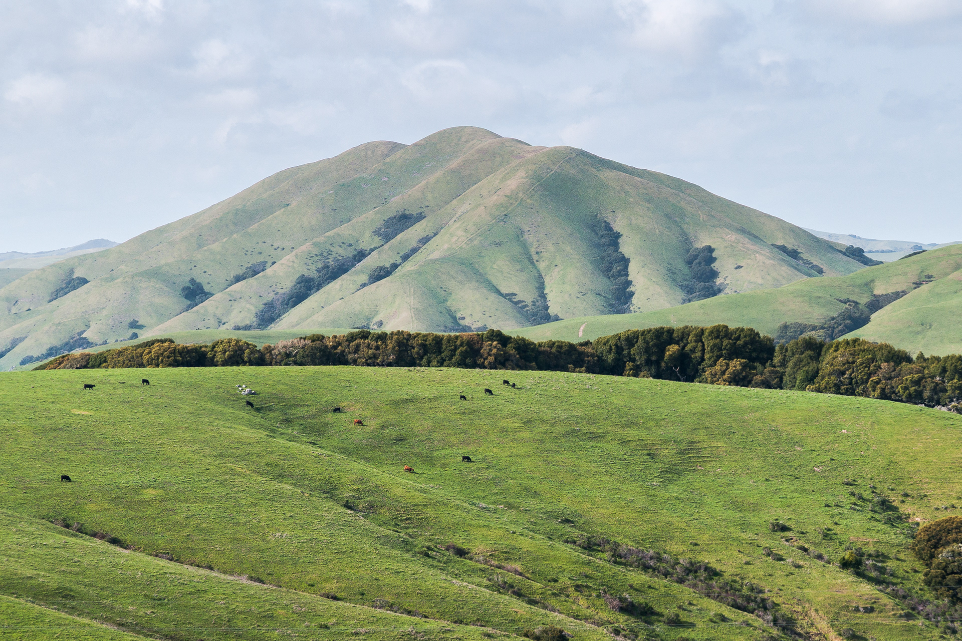 Black Mountain