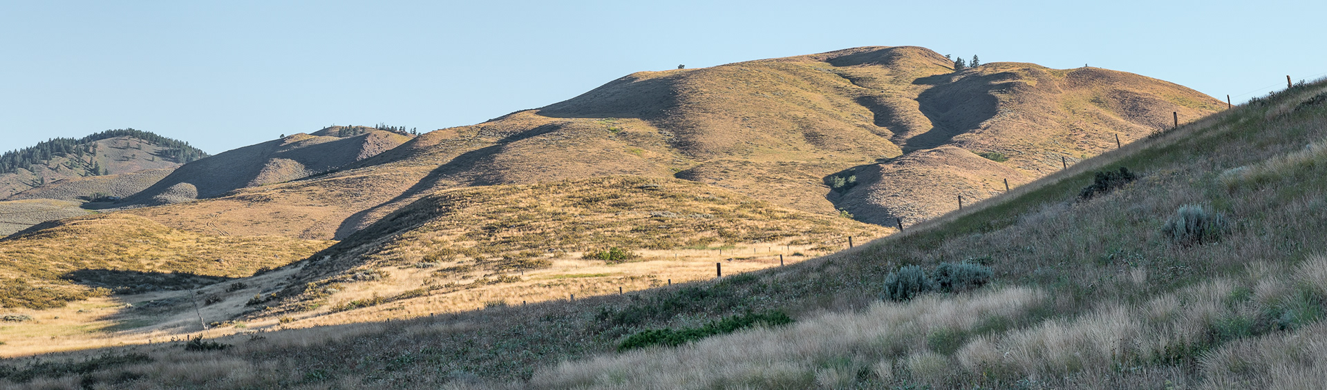 Lewis Butte