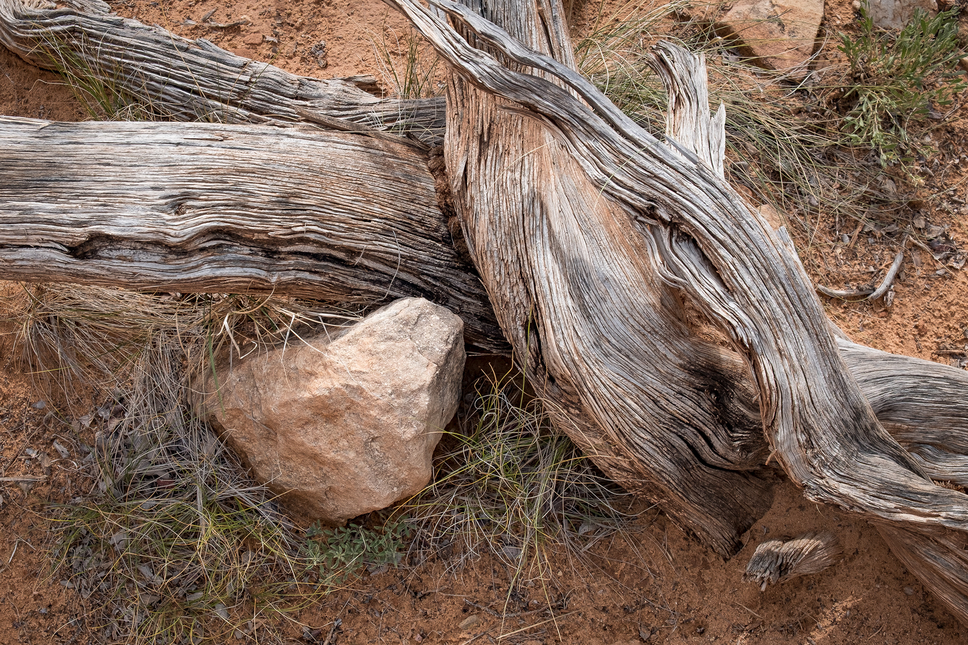 Kitchen Mesa Trail , Ghost Ranch