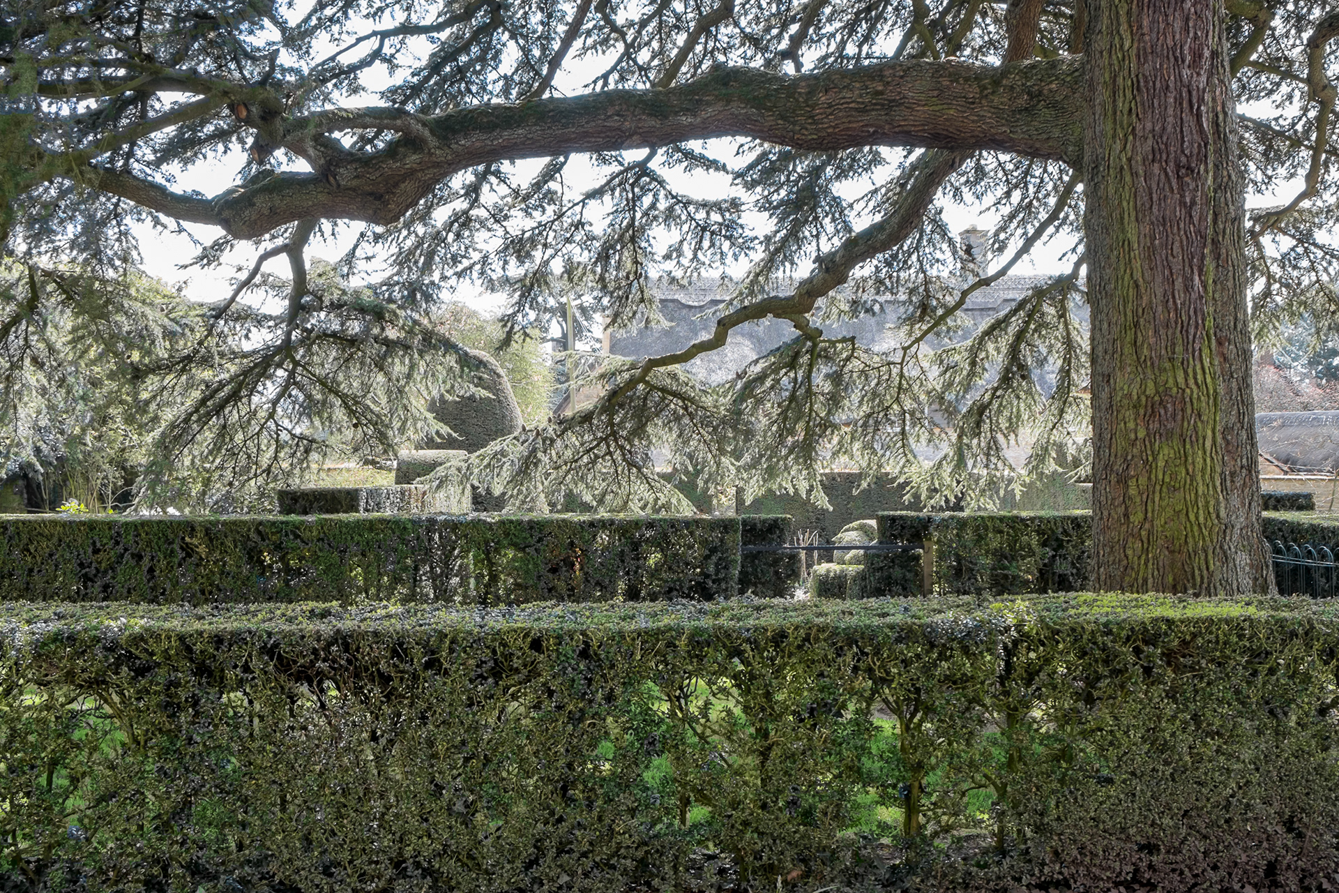 Hidcote