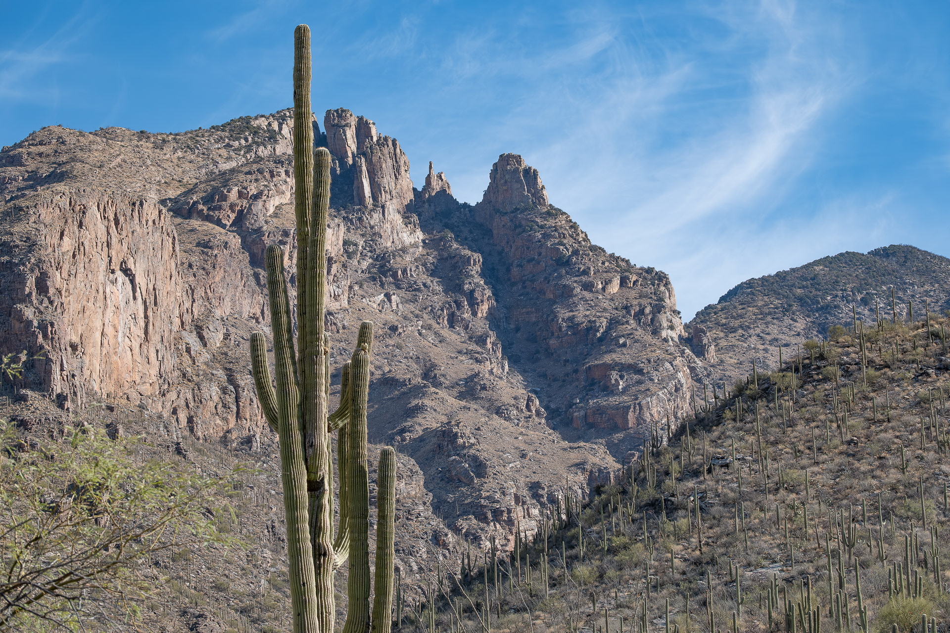Finger Rock Trail