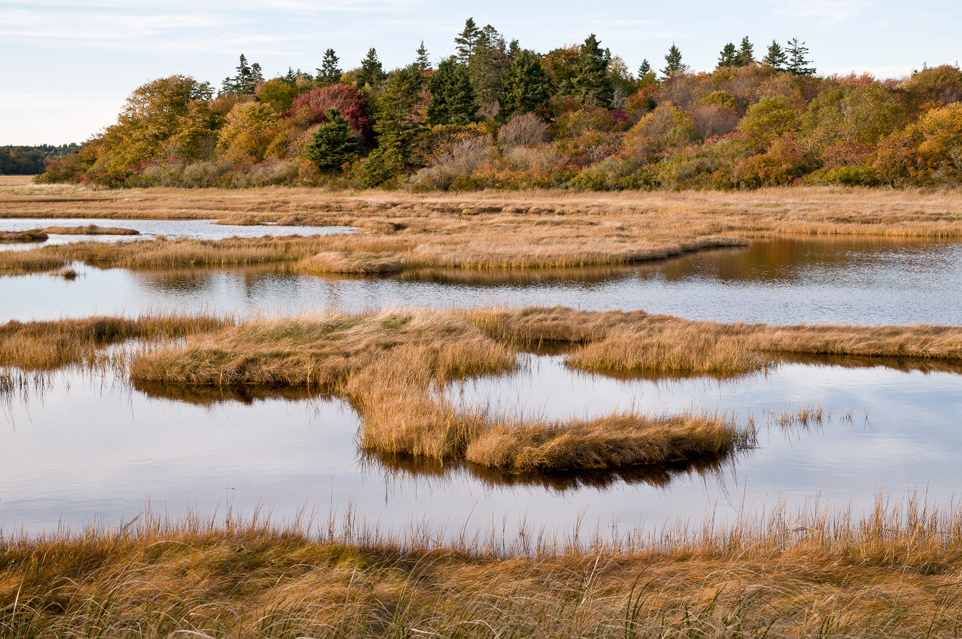 Small Point, Maine