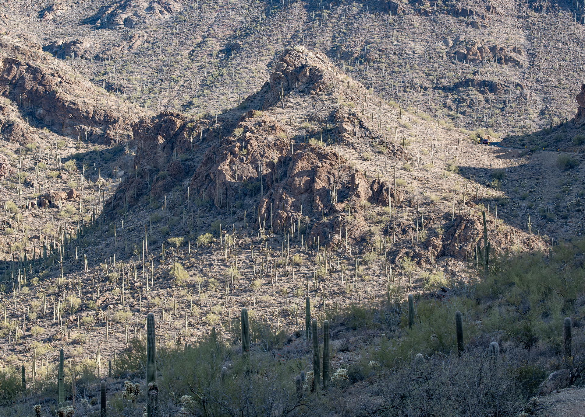 Gates Pass