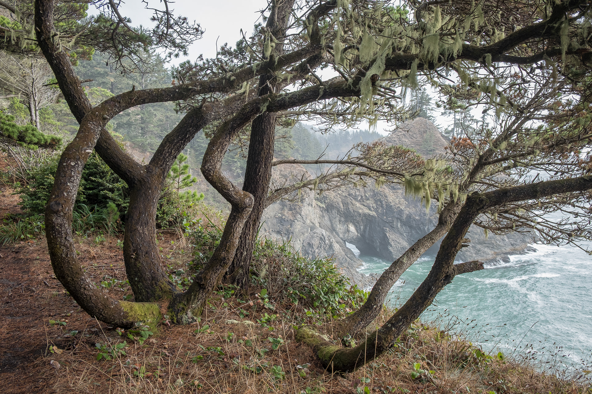 Samuel Boardman State Park